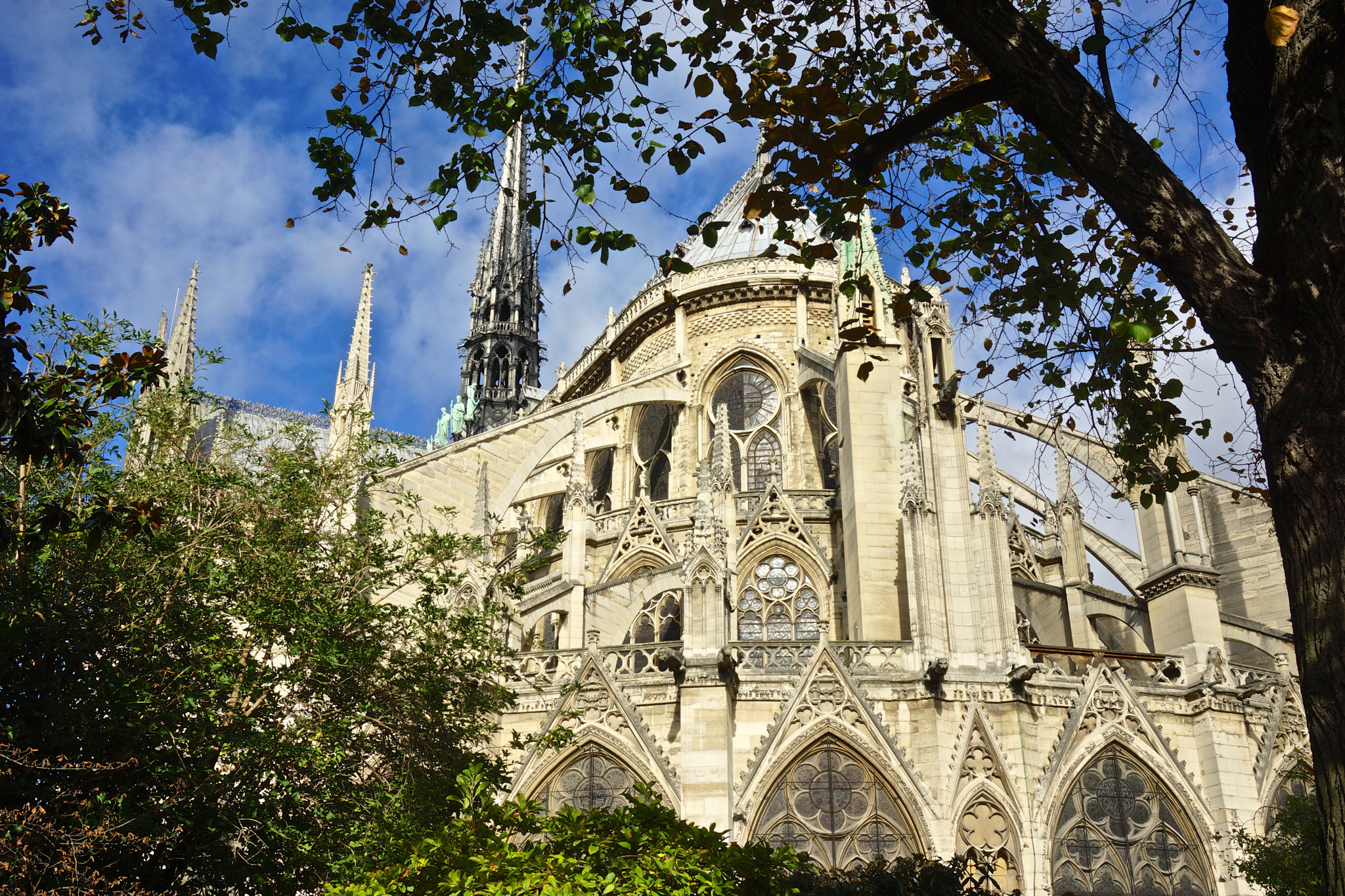 Sony Alpha NEX-7 + Sony Vario-Tessar T* E 16-70mm F4 ZA OSS sample photo. Back of notre dame de paris photography