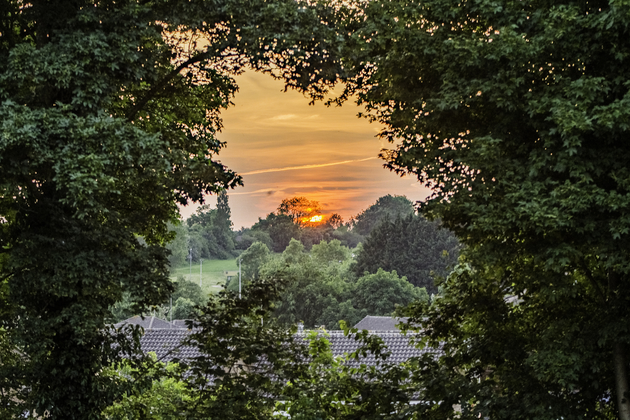 Canon EF 75-300mm f/4-5.6 USM sample photo