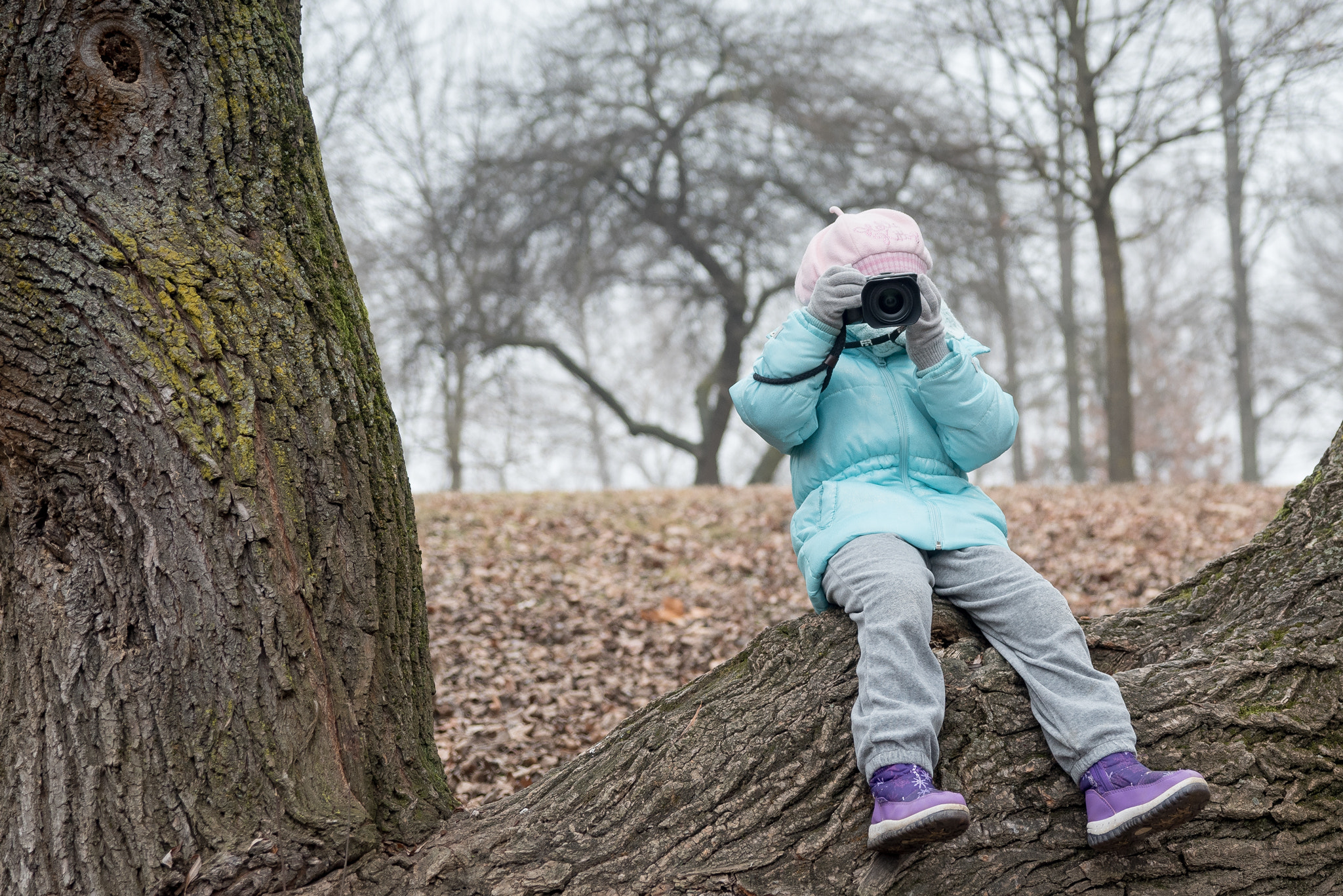 Sigma 24-60mm F2.8 EX DG sample photo. Little photographer photography