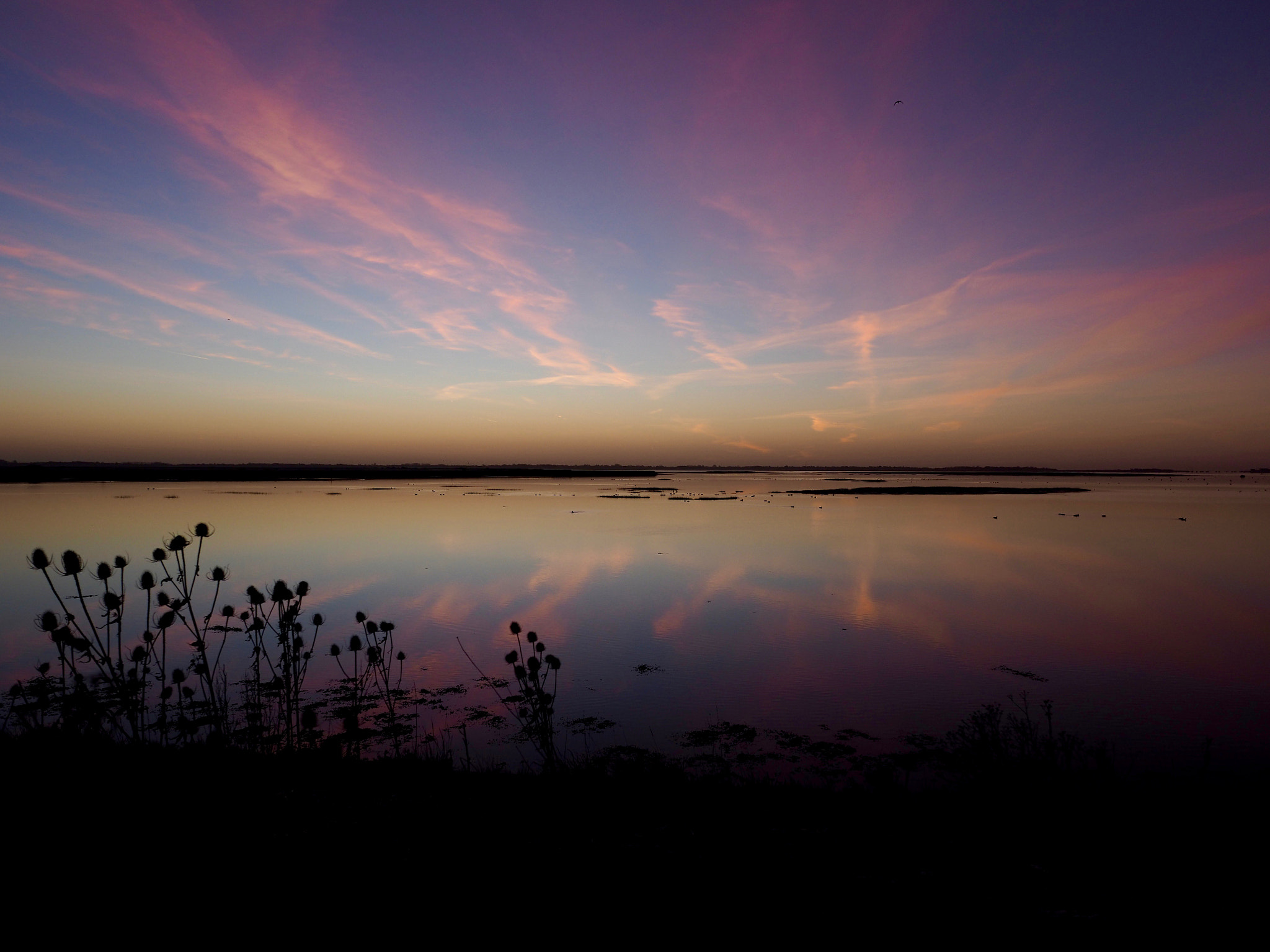 Olympus PEN-F sample photo. Langstone sunrise photography