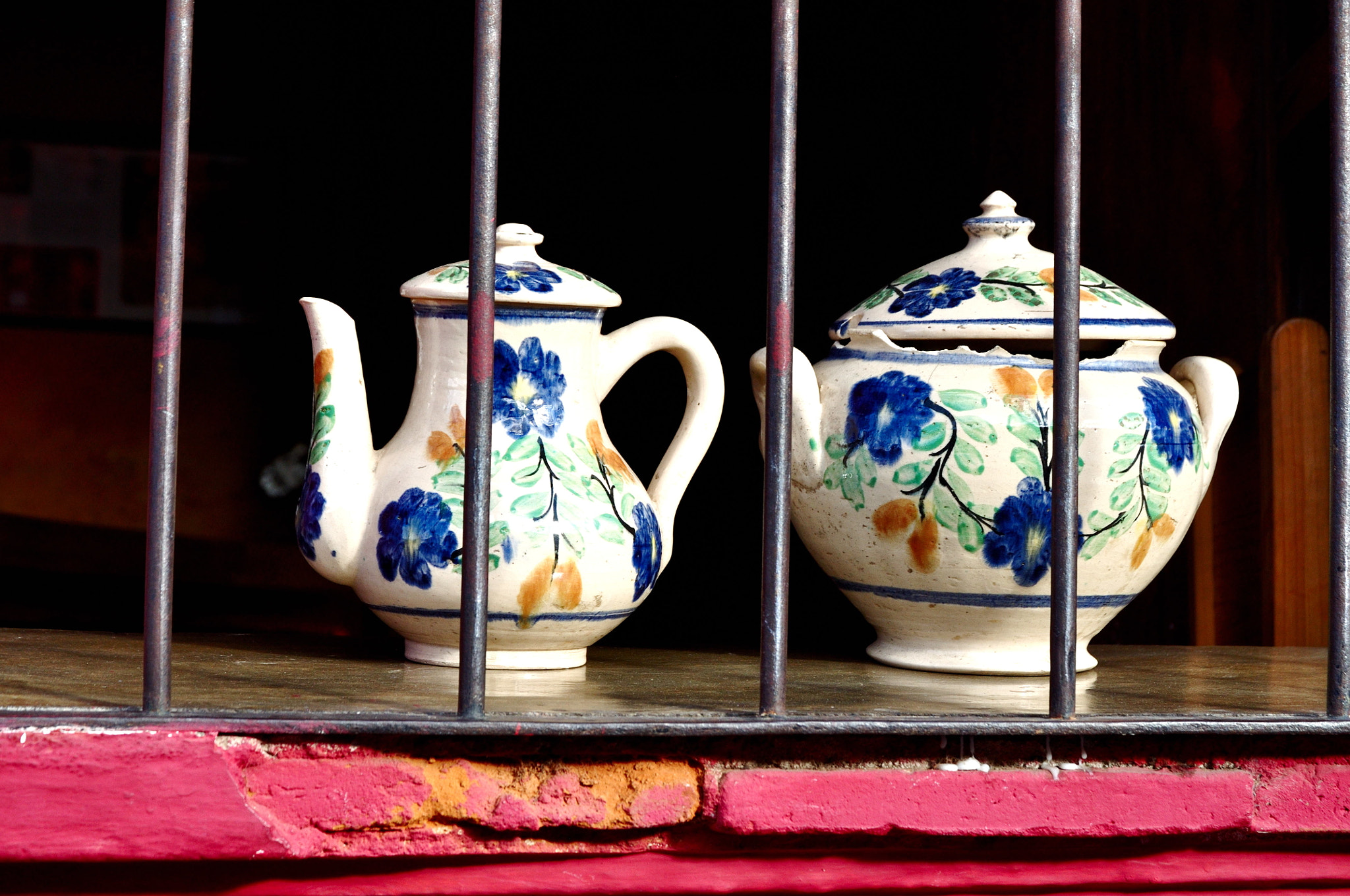 Nikon D5000 sample photo. Tea time photography