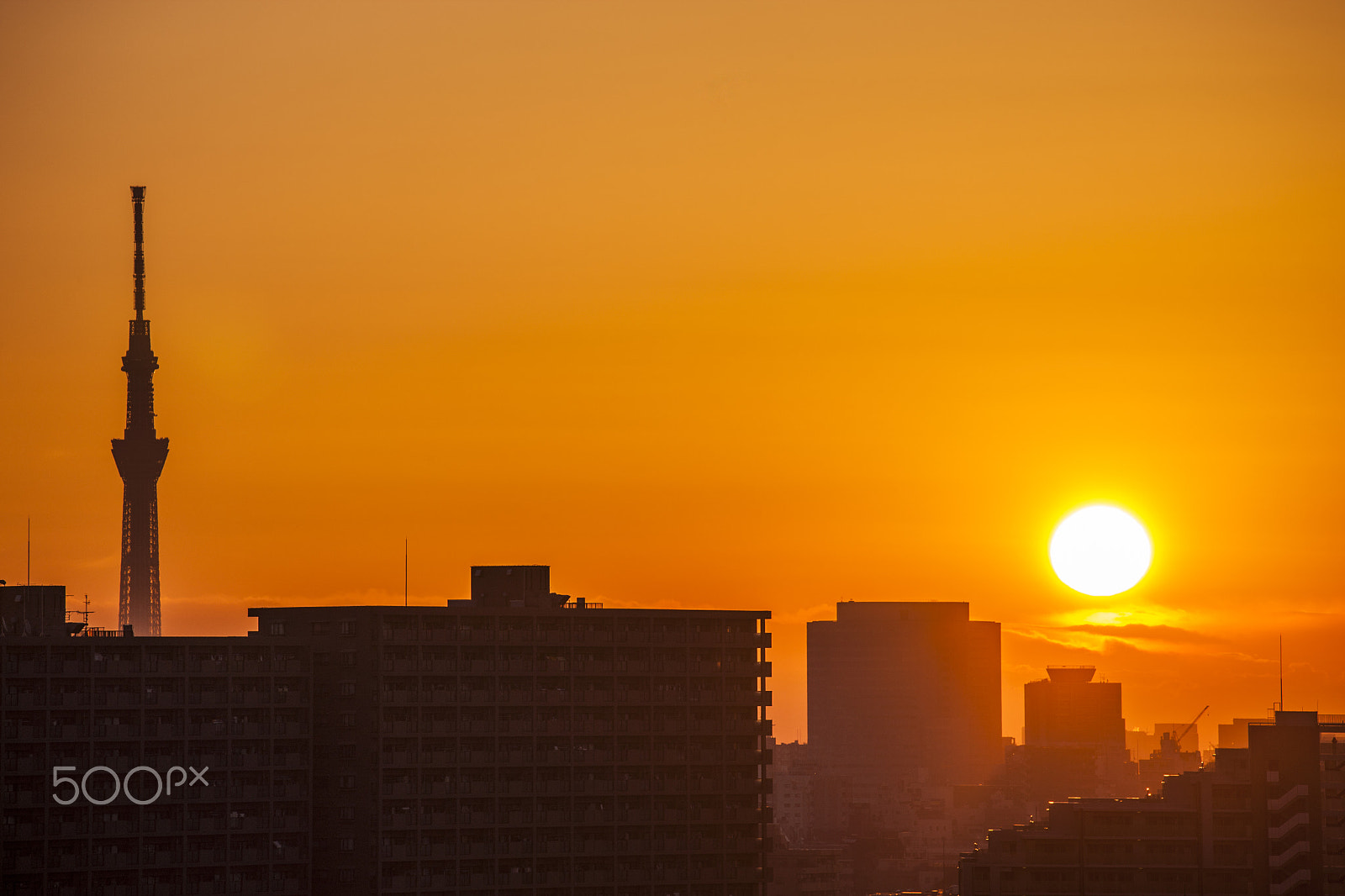 Canon EOS-1Ds Mark III sample photo. The first sunrise of 2017 photography