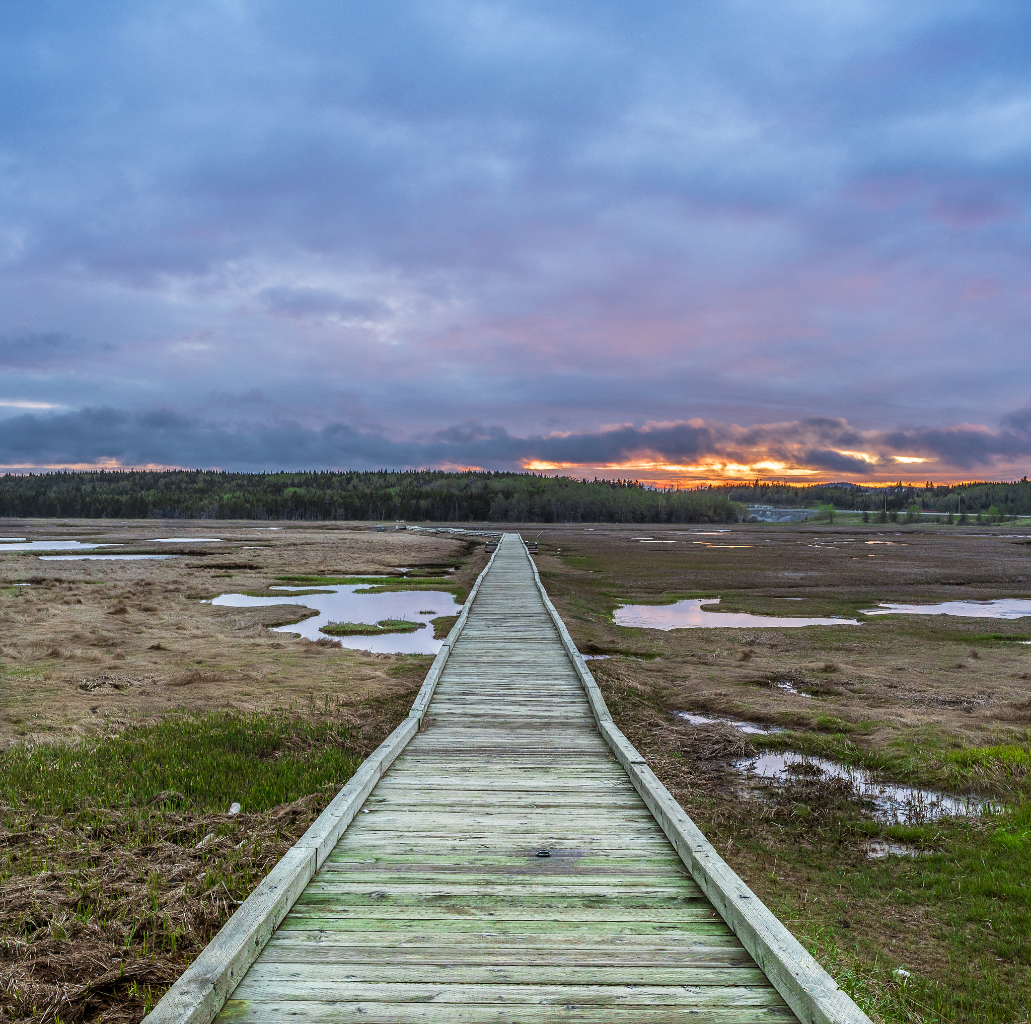 Nikon D810 + Nikon AF-S Nikkor 24mm F1.8G ED sample photo. Boardwalk photography