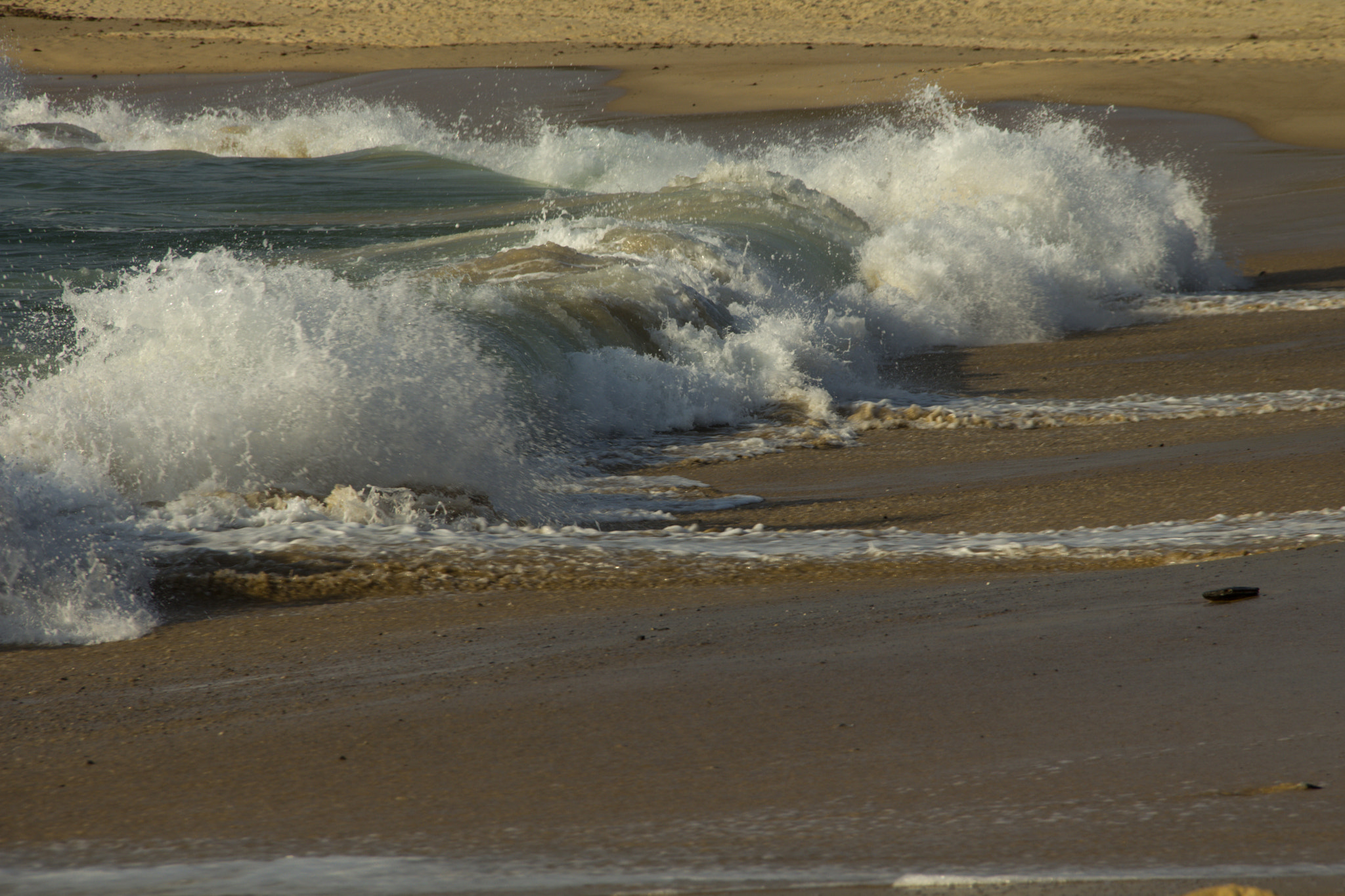 Canon EOS 60D sample photo