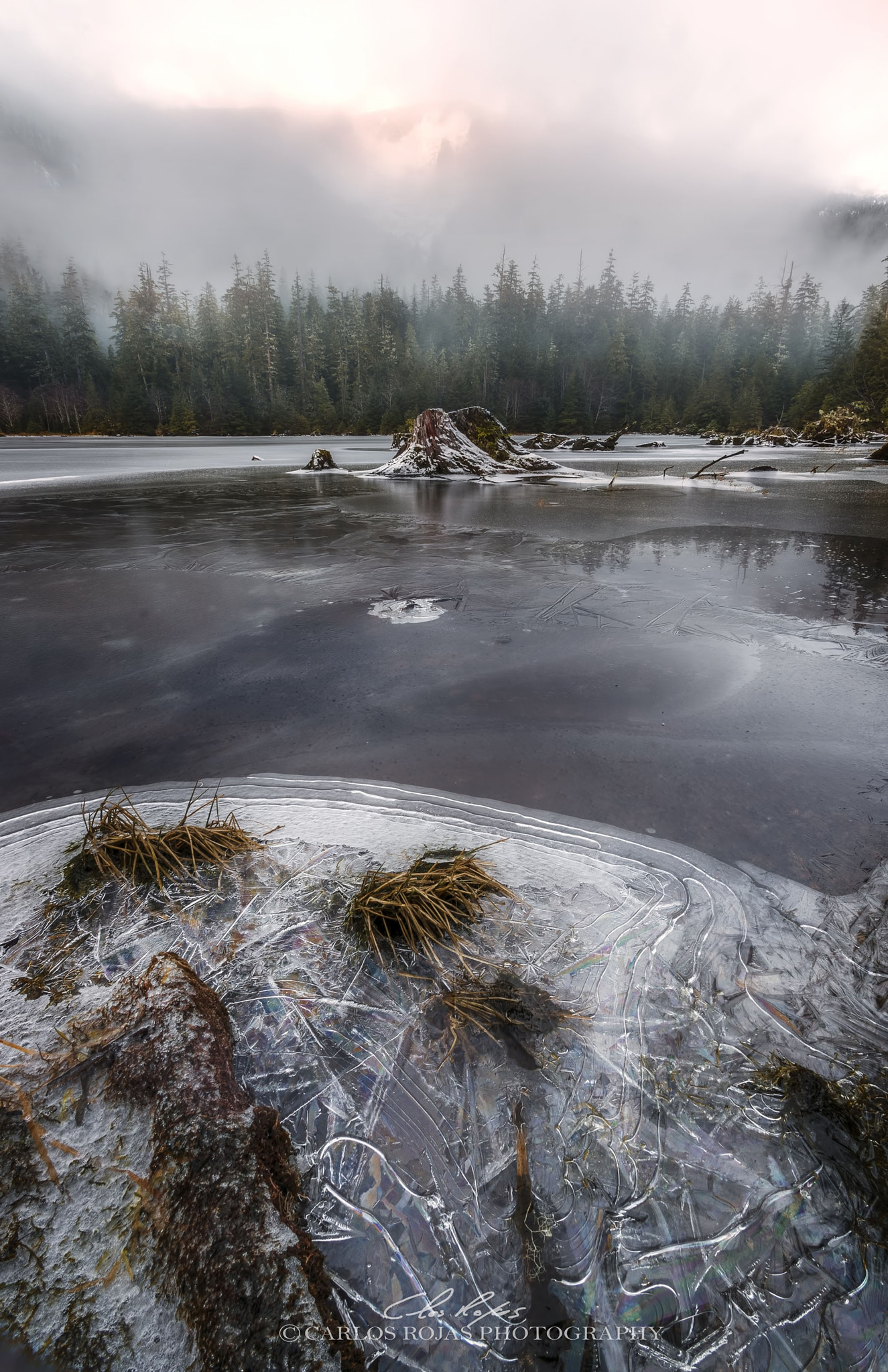 Pentax K-3 sample photo. Frozen shoreline photography