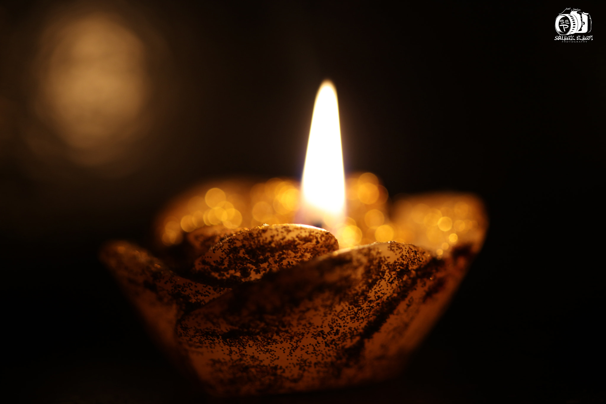 Canon EF 100mm F2.8 Macro USM sample photo. The last romantic picture of 2016 photography
