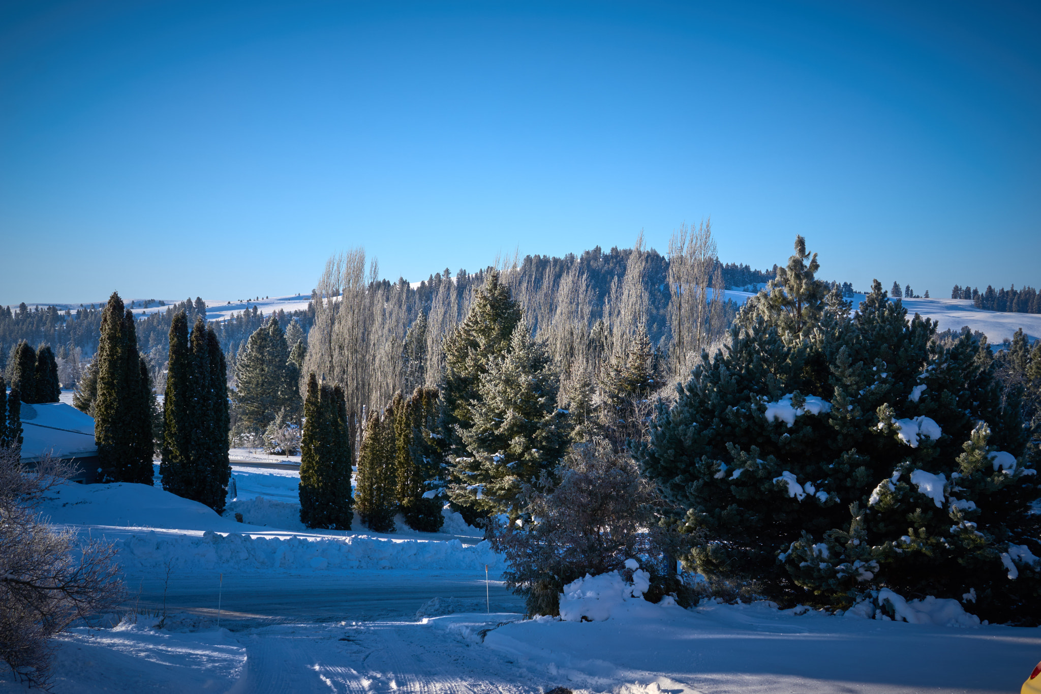 Sony E 35mm F1.8 OSS sample photo. Winter morning photography