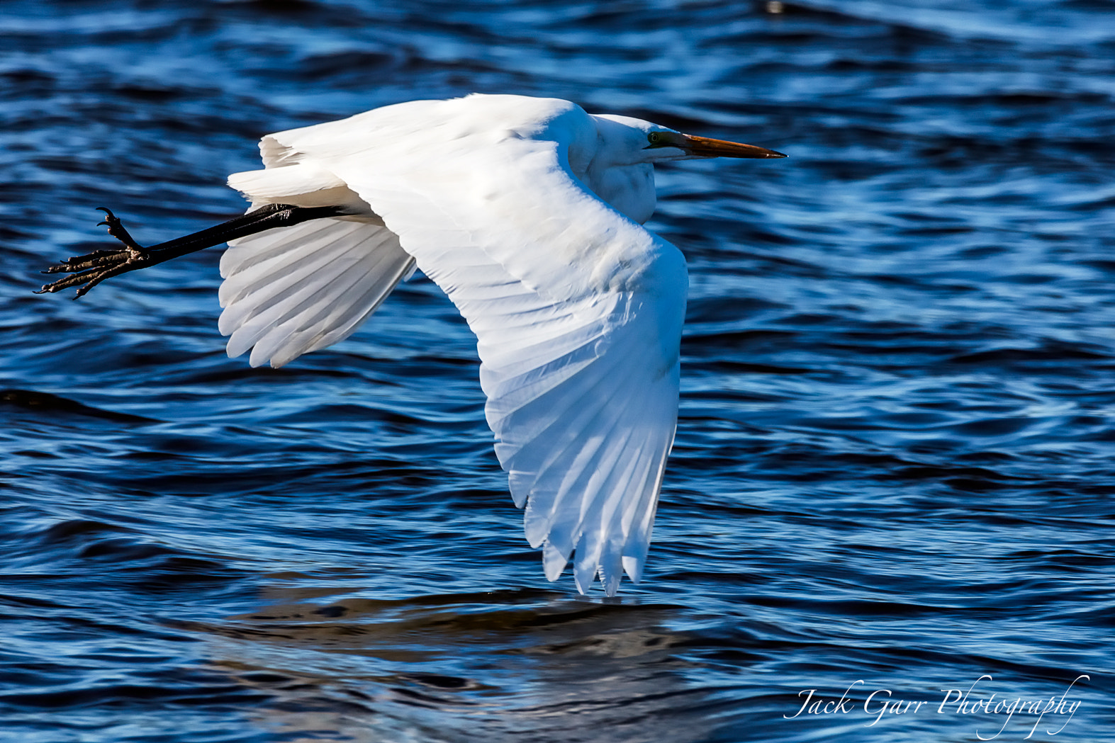 150-600mm F5-6.3 DG OS HSM | Sports 014 sample photo. Great white egret flying over water photography