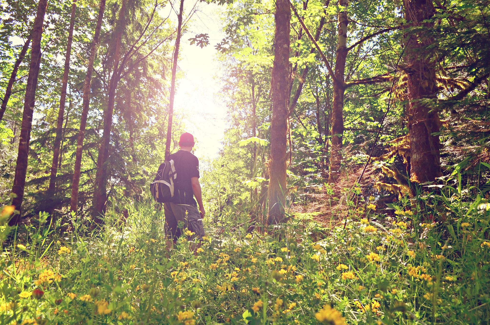 Nikon D3200 sample photo. Into the forest photography