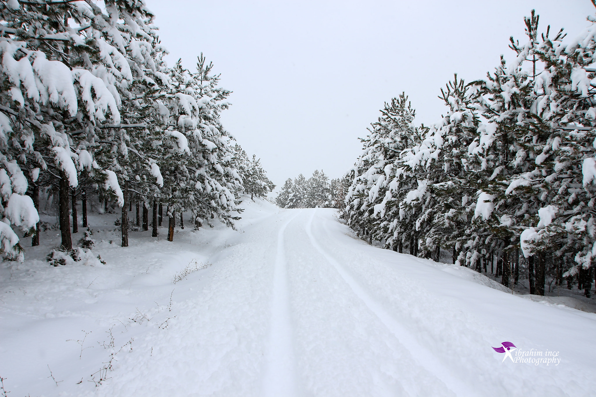 Canon EOS 650D (EOS Rebel T4i / EOS Kiss X6i) sample photo. Img_4777-2.jpg photography