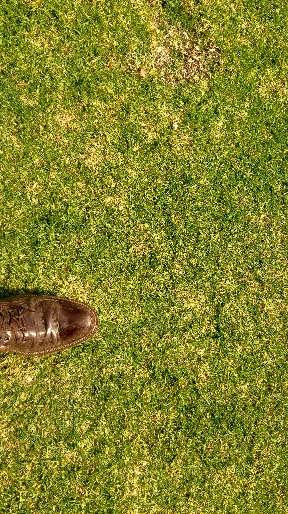 HTC M10 sample photo.  foot  photography