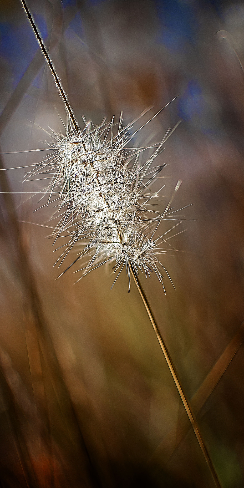 Nikon D3 sample photo. Jdc photography