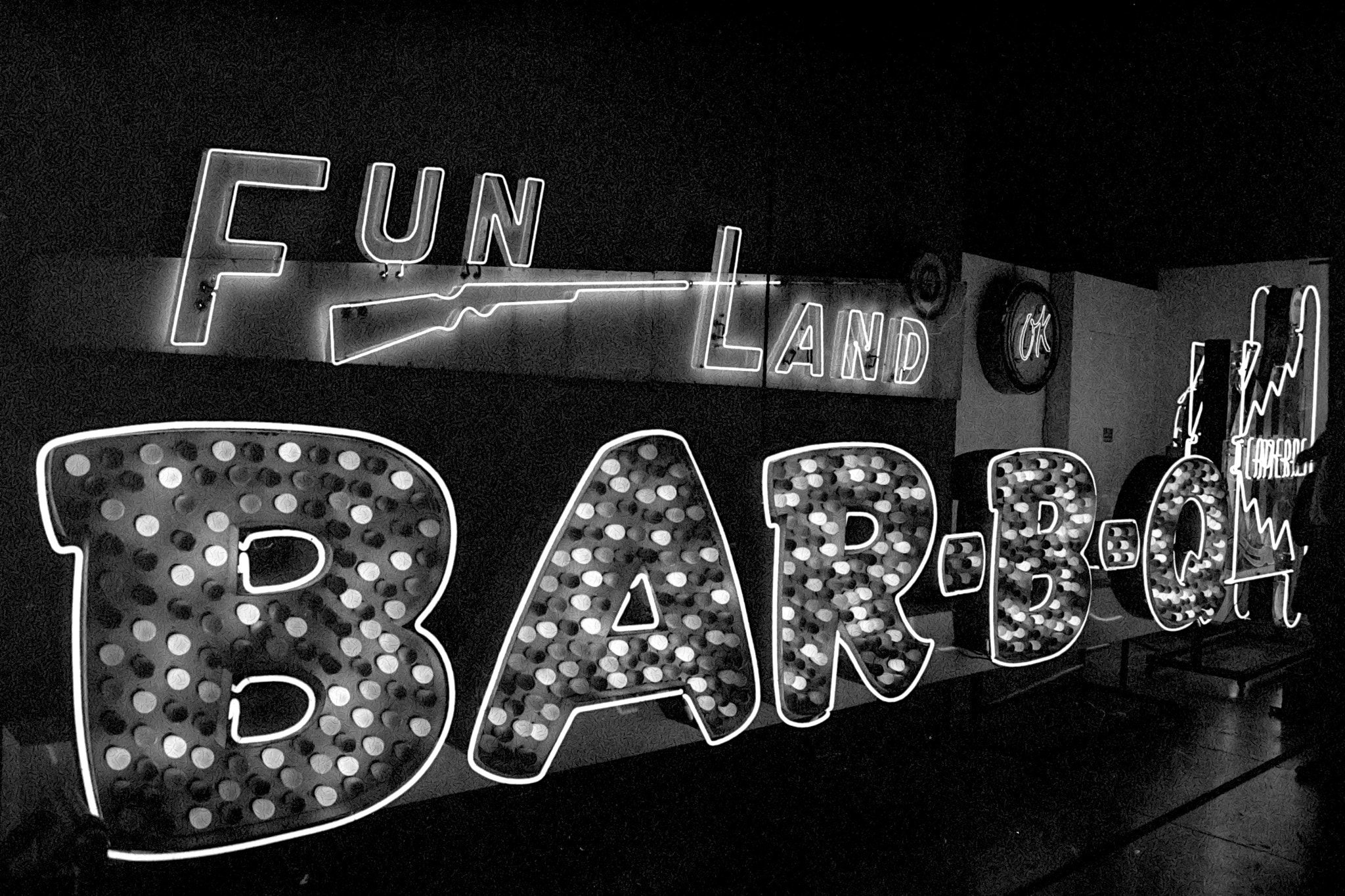 Olympus OM-D E-M5 sample photo. Fun land bar-b-q photography