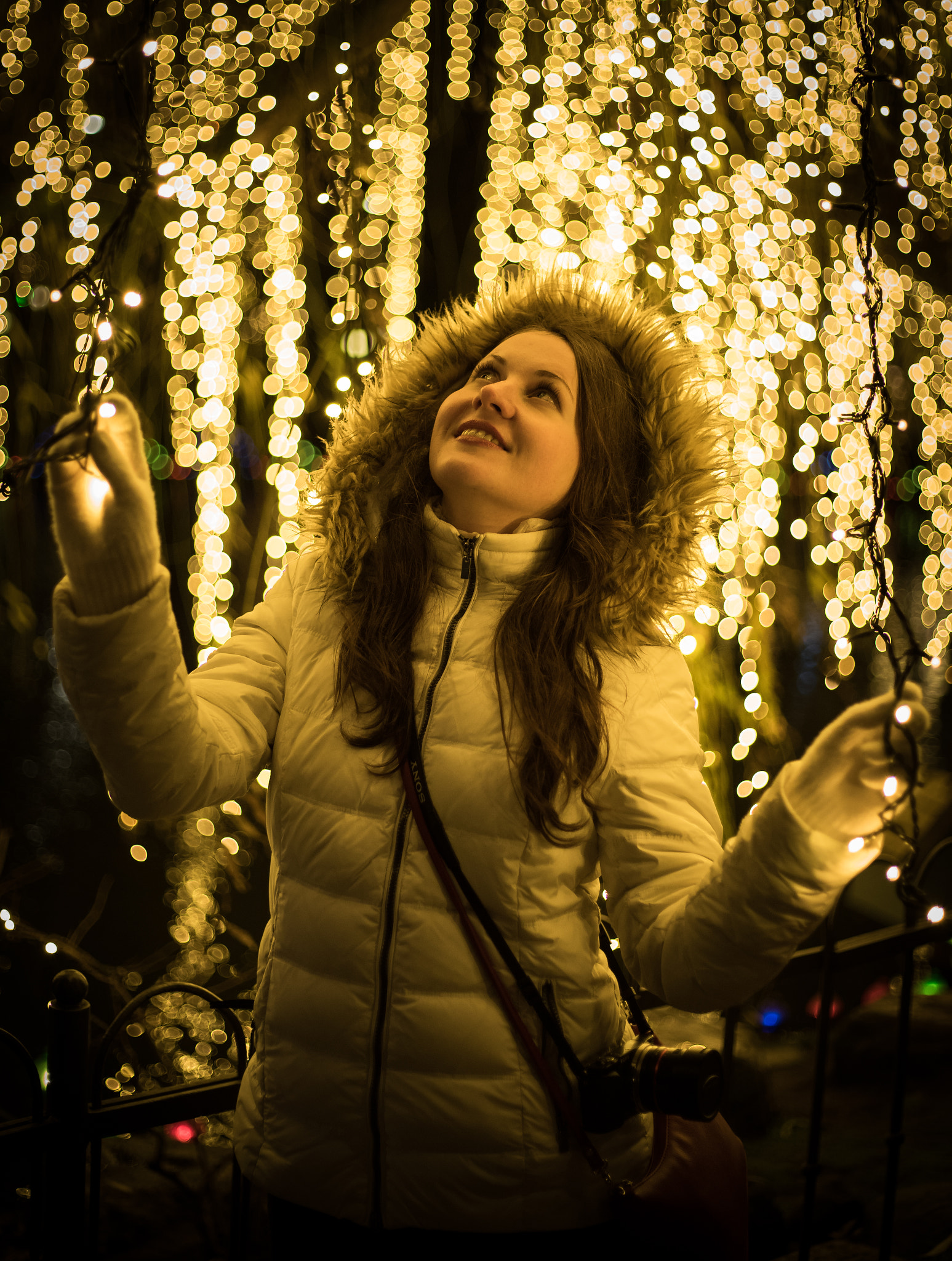 Sony a7 II + Canon EF 50mm F1.8 STM sample photo. New year lights photography