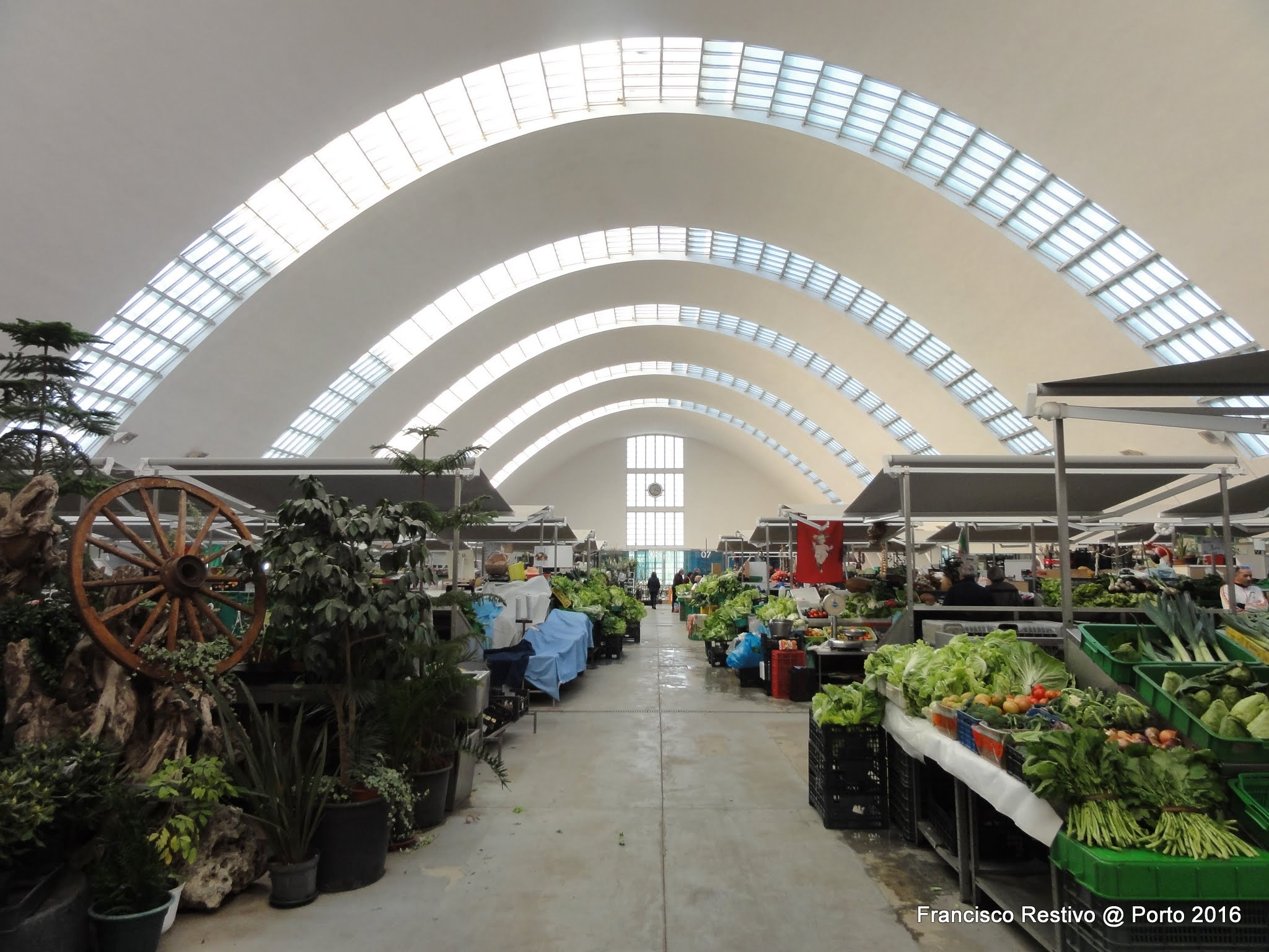 Sony DSC-HX5V sample photo. Matosinhos market photography