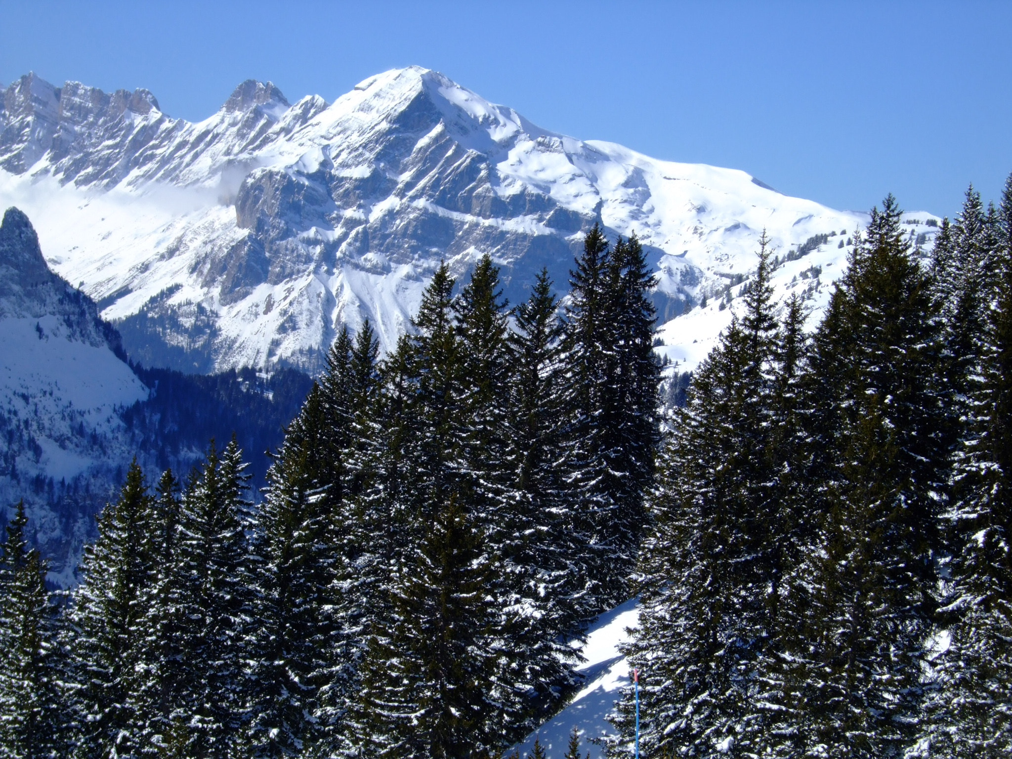 Fujifilm FinePix F40fd sample photo. Winter in flaine. photography