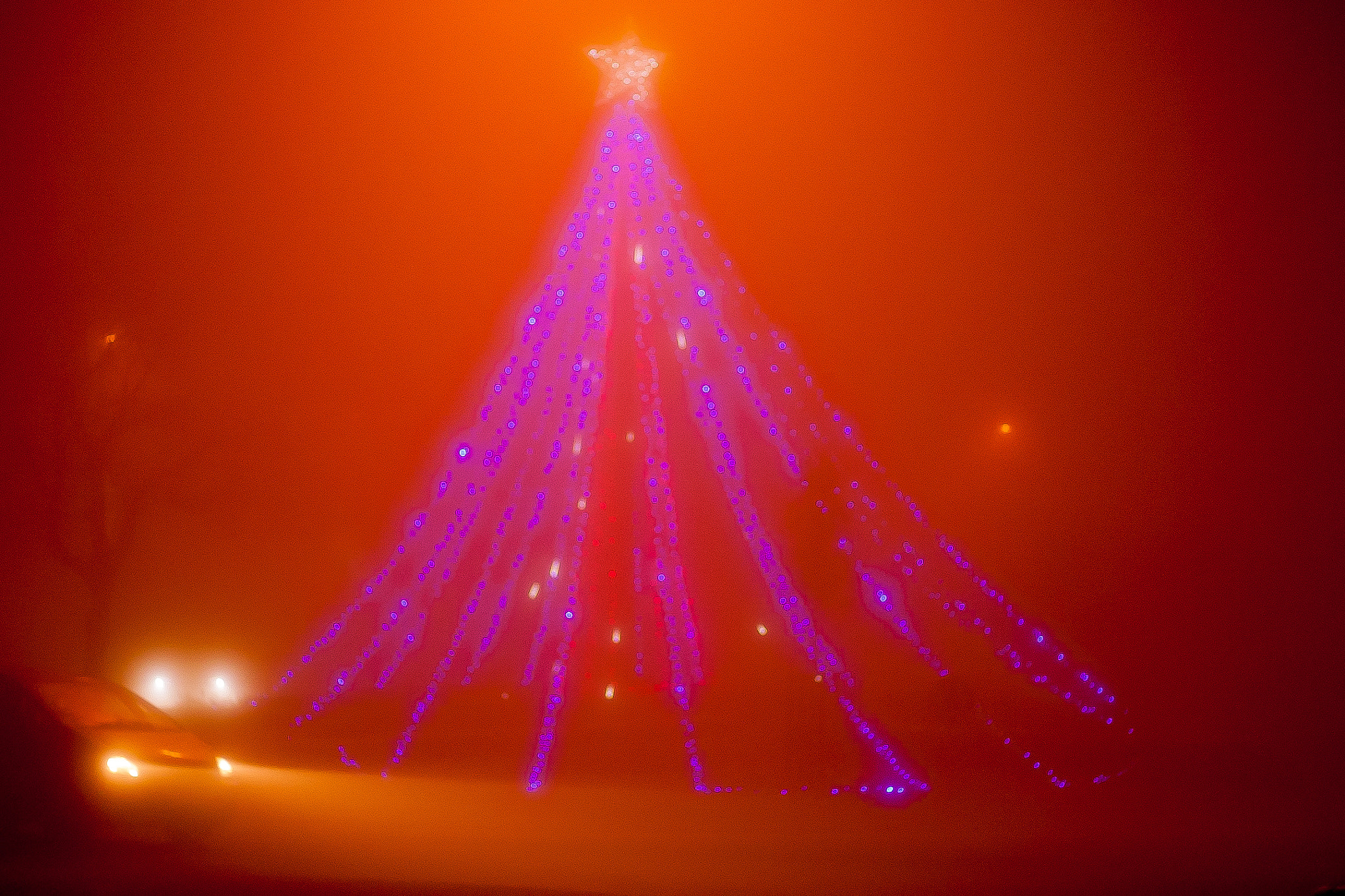 Canon EOS D30 sample photo. Fog photography