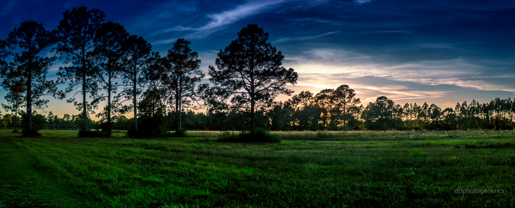 Olympus M.Zuiko Digital 14-42mm F3.5-5.6 II R sample photo. Forest sunset... photography