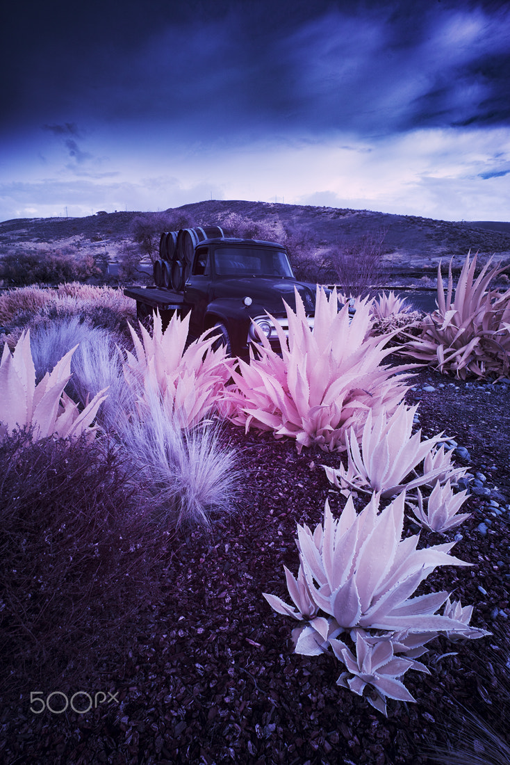 Sony a7R + E 18mm F2.8 sample photo. Wine truck infrared no. 1 photography