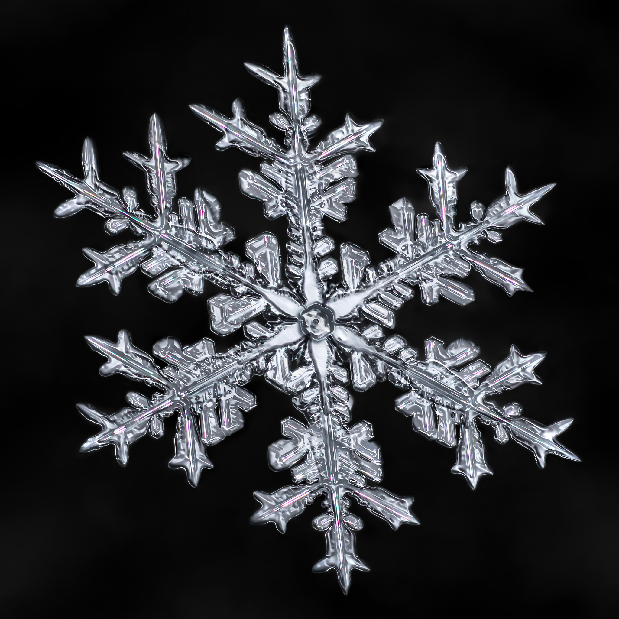 Canon MP-E 65mm F2.5 1-5x Macro Photo sample photo. Snowflake-a-day #28 photography