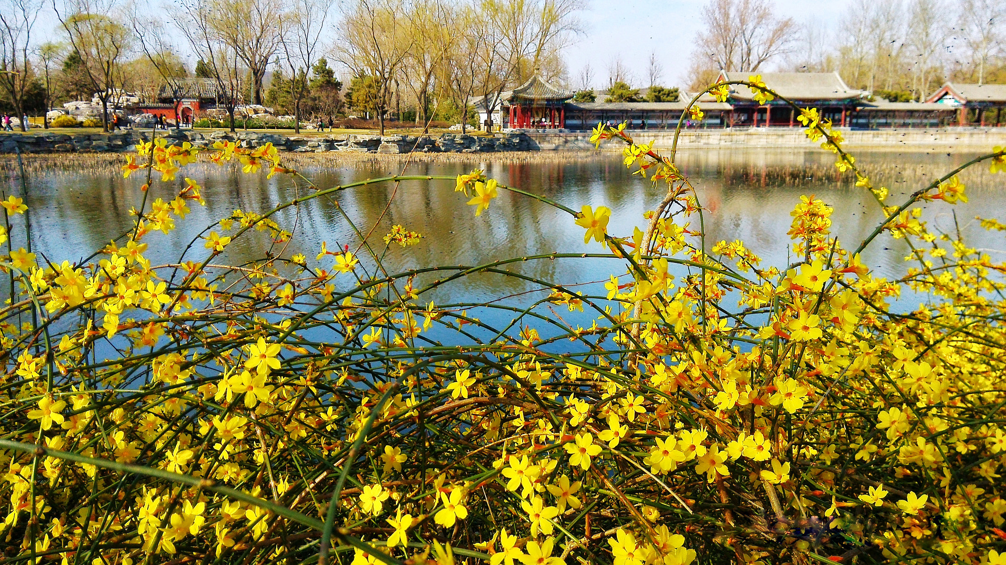 Xiaomi MI3 sample photo