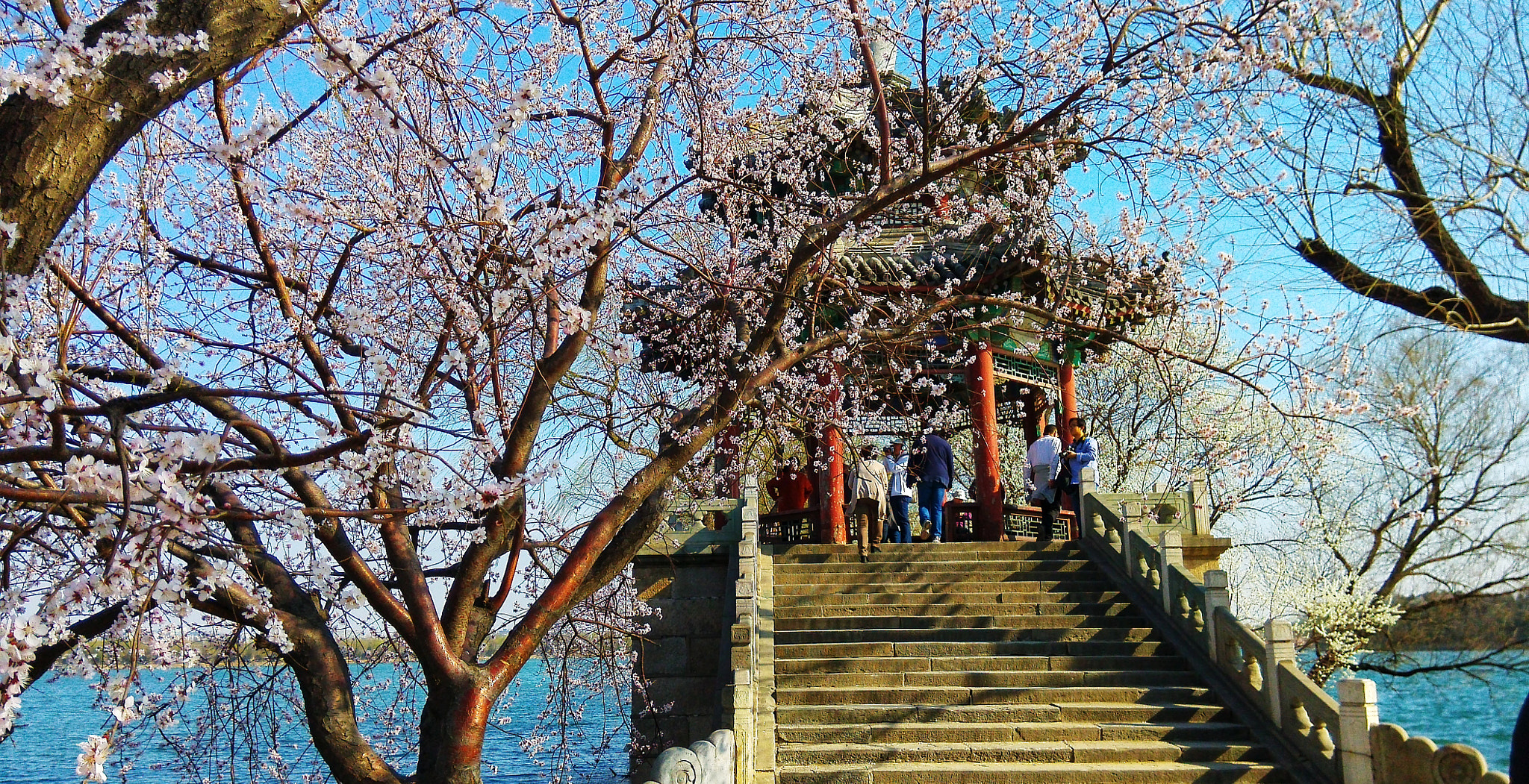 Xiaomi MI3 sample photo