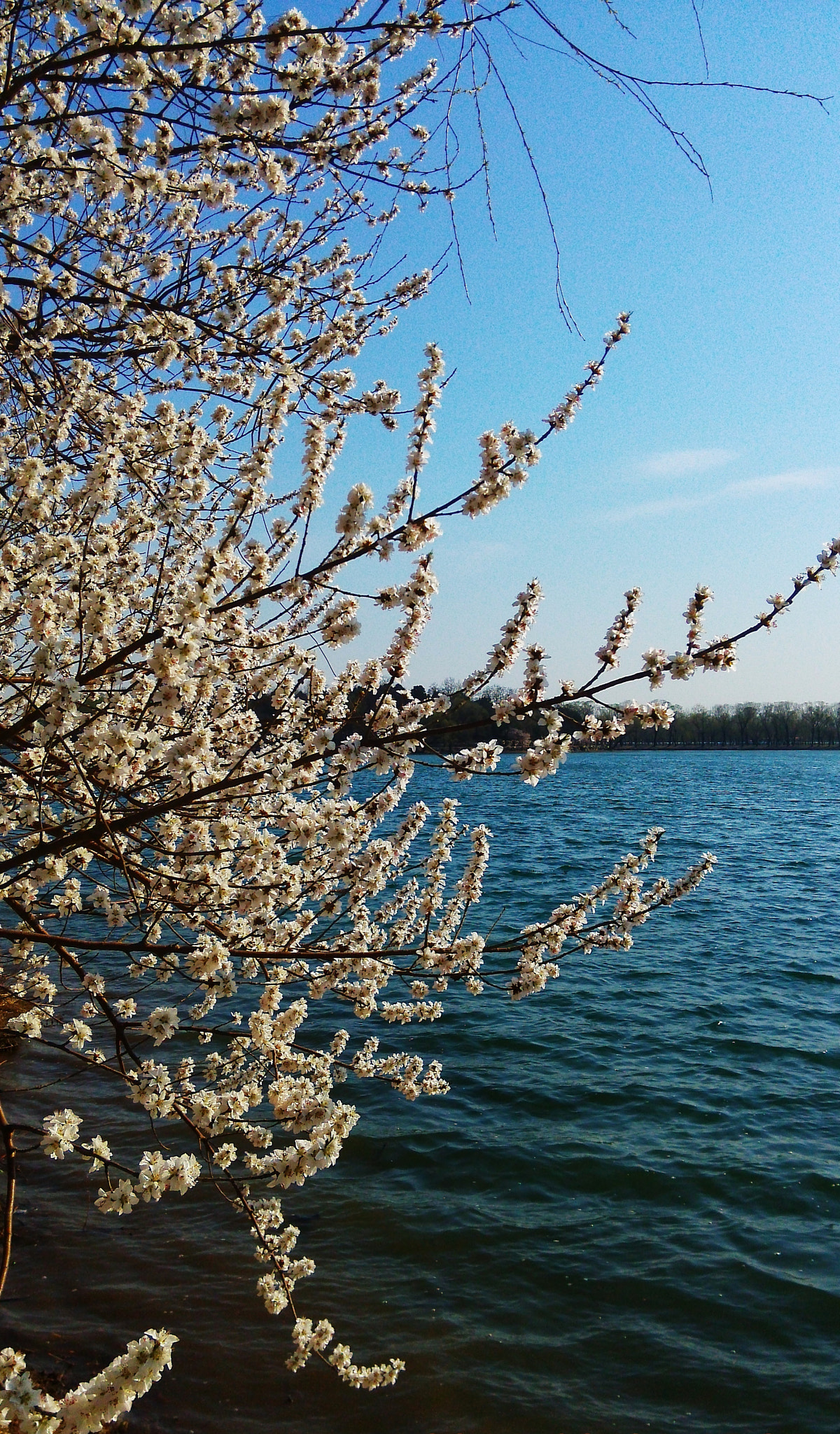 Xiaomi MI3 sample photo
