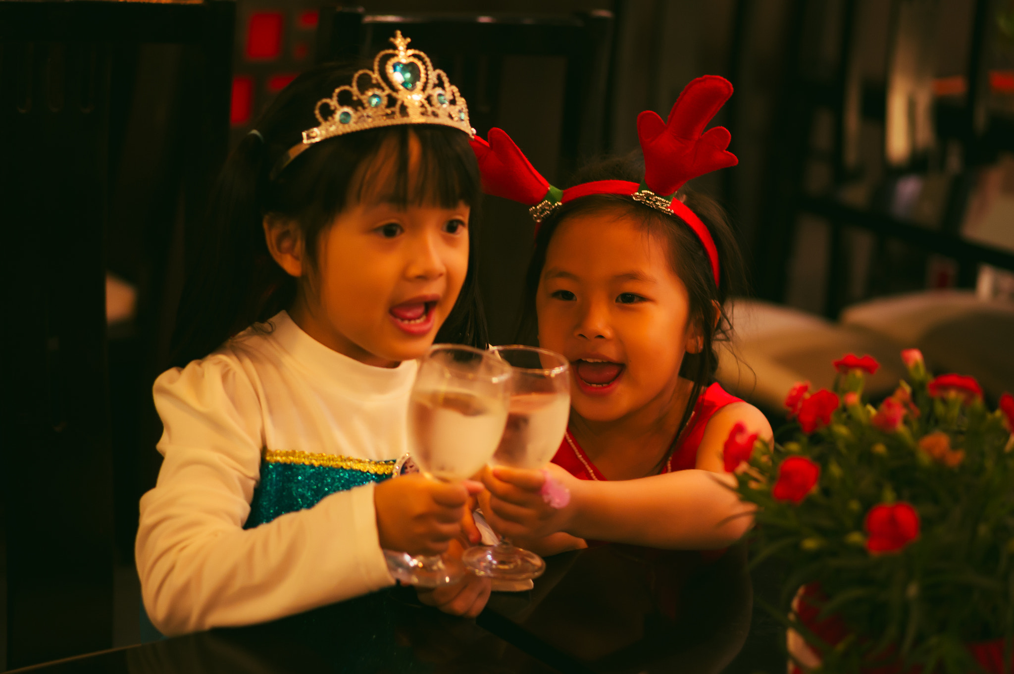 Sony Alpha NEX-6 + E 50mm F1.8 OSS sample photo. Happy new year 2017 photography