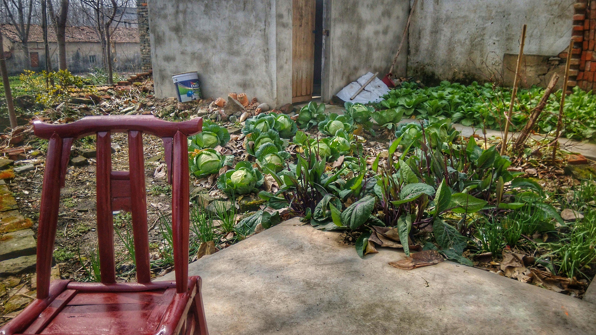 Xiaomi MI3 sample photo