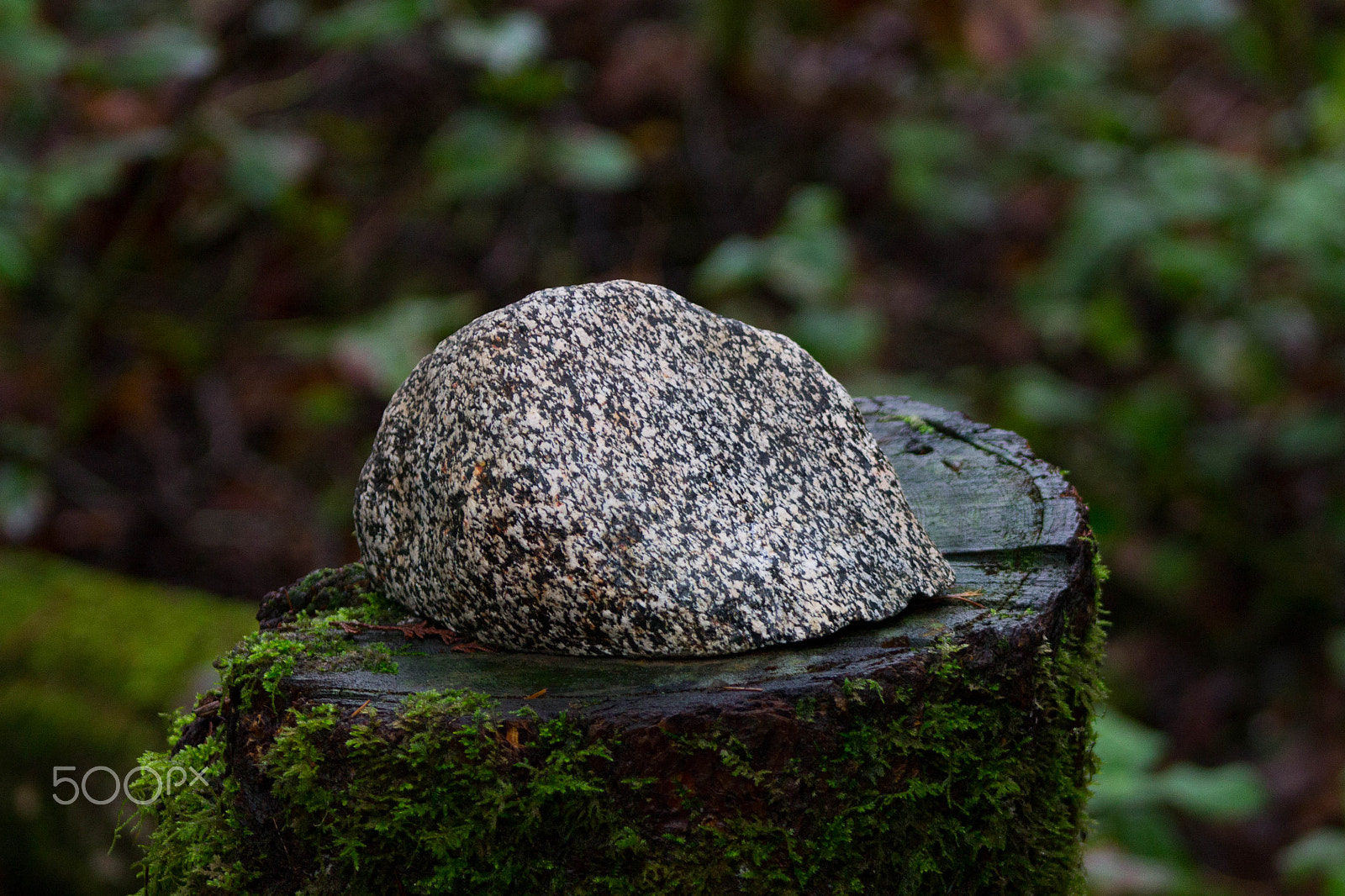 Canon EF 75-300mm f/4-5.6 USM sample photo. Stone still photography
