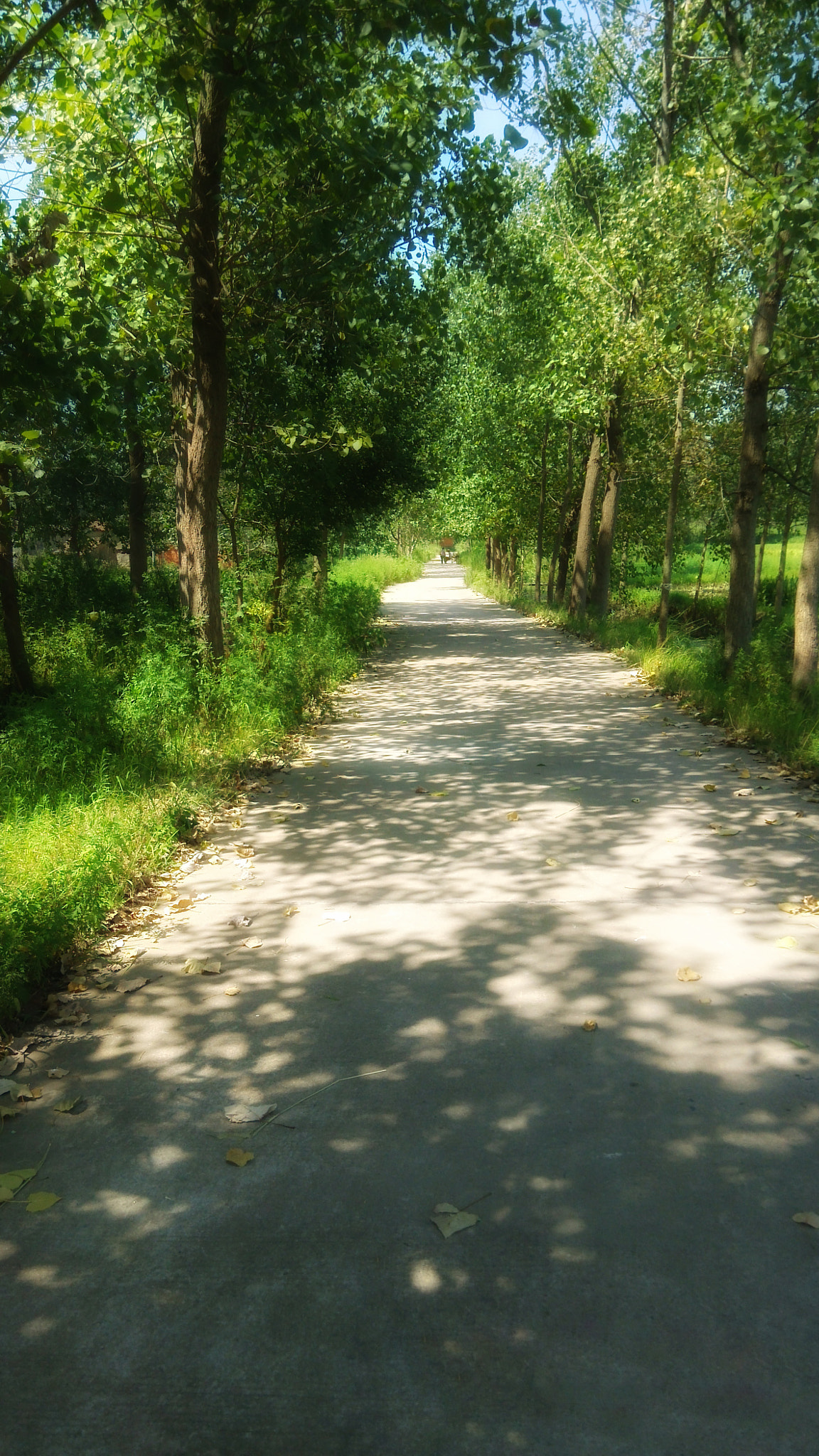Xiaomi MI3 sample photo