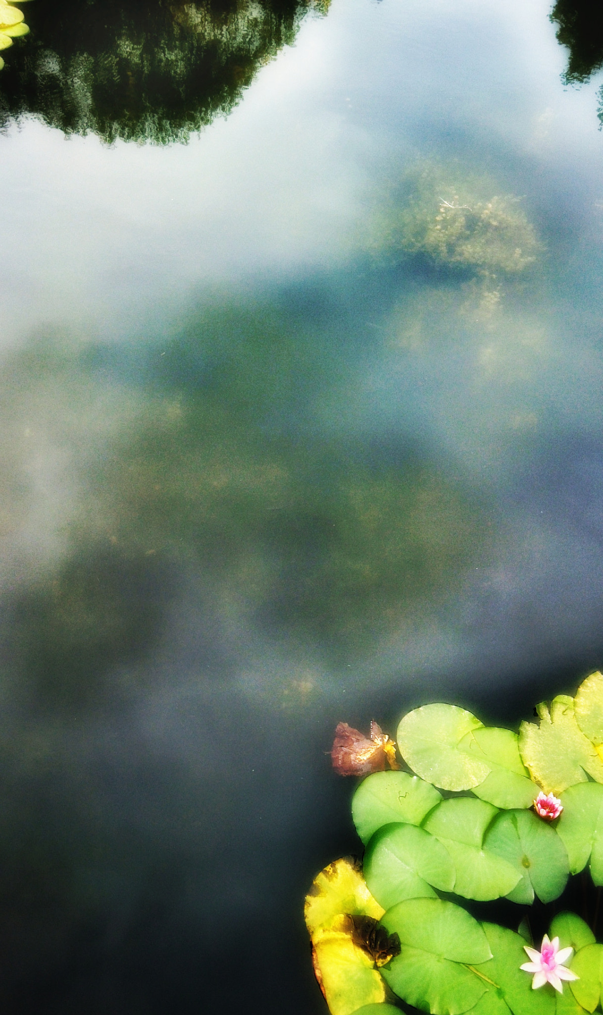 Xiaomi MI3 sample photo