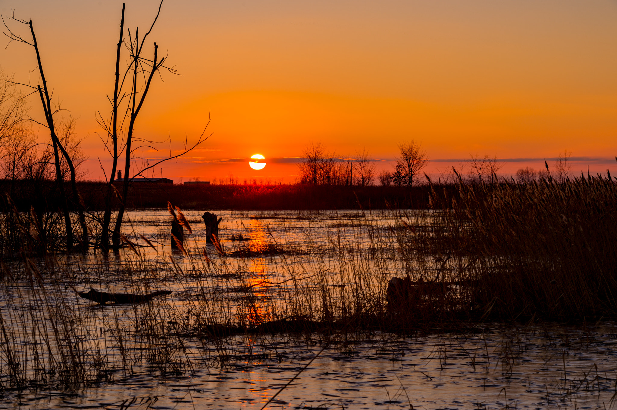 Nikon Df sample photo. Last sunlight of 2016 photography