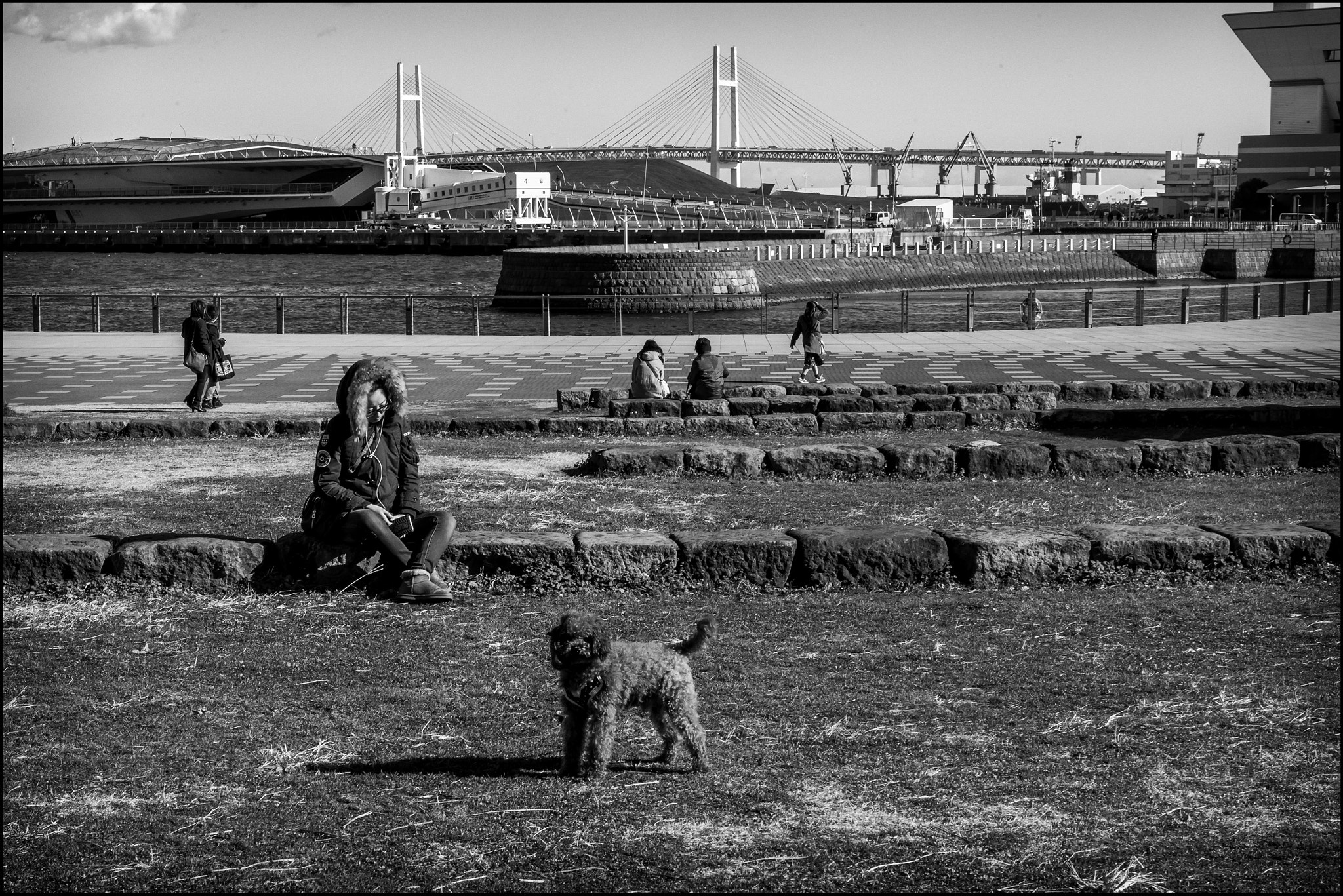 Leica Noctilux-M 50mm F0.95 ASPH sample photo. Wild heart photography
