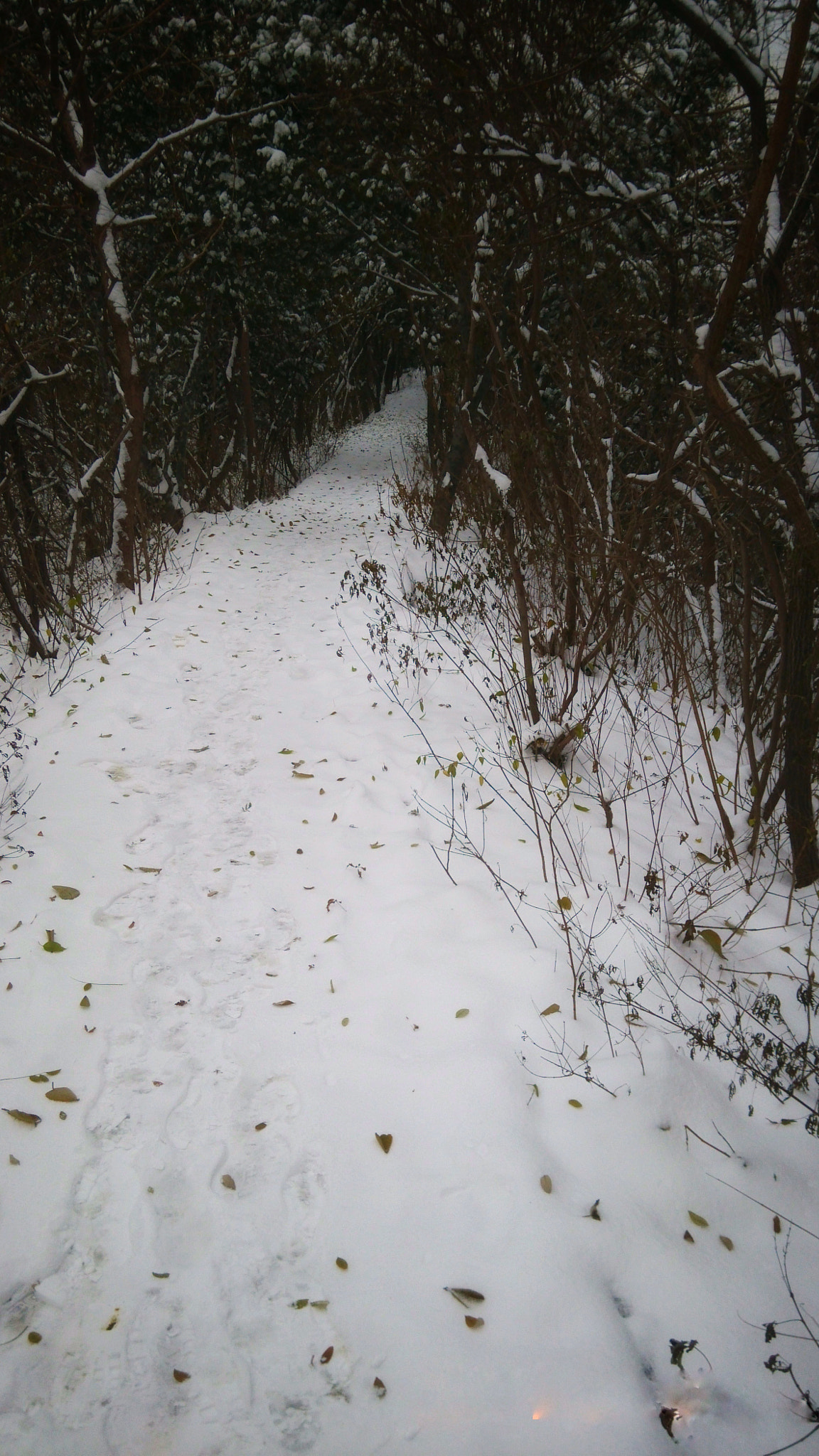 Xiaomi MI3 sample photo