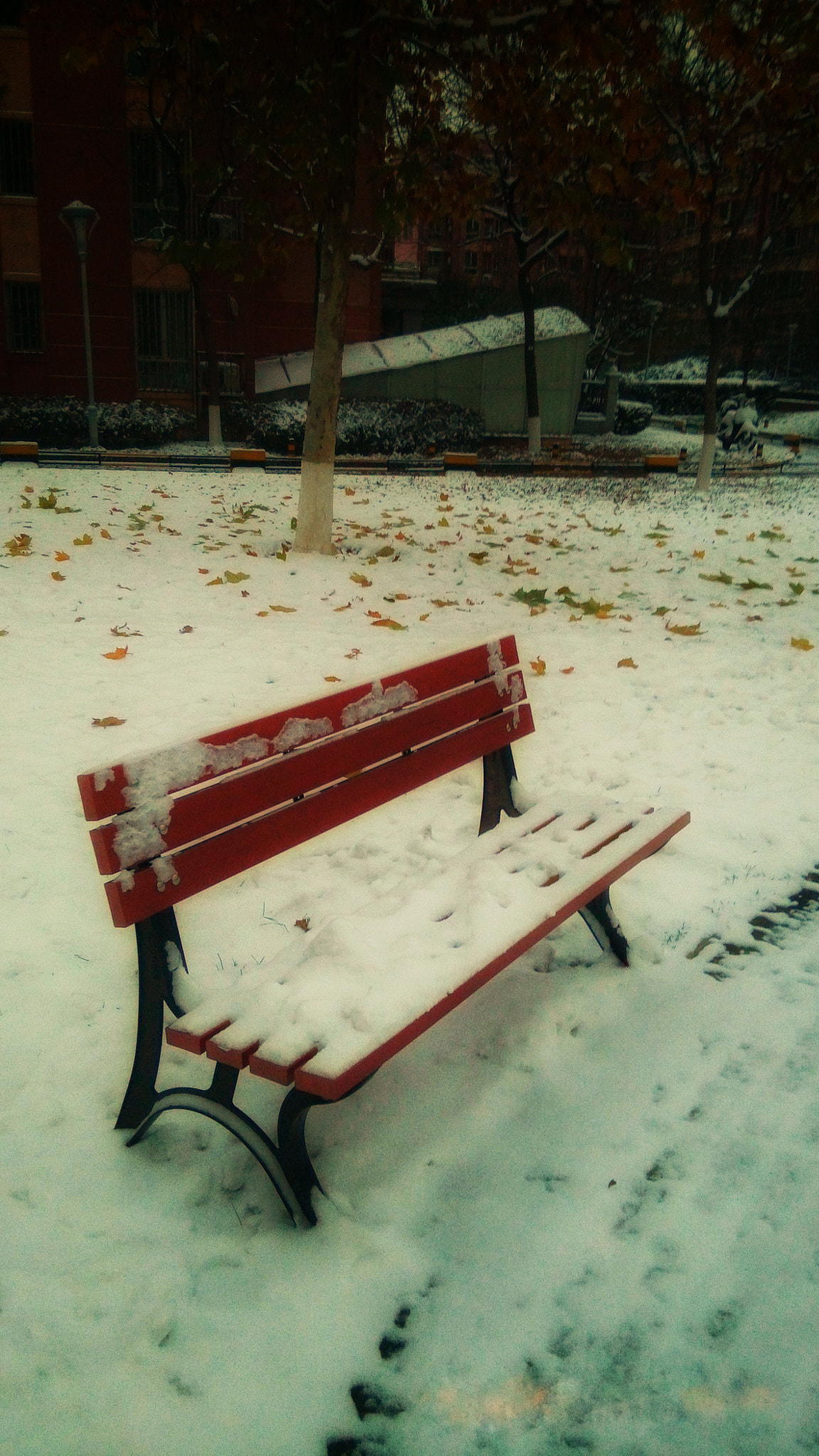 Xiaomi MI3 sample photo
