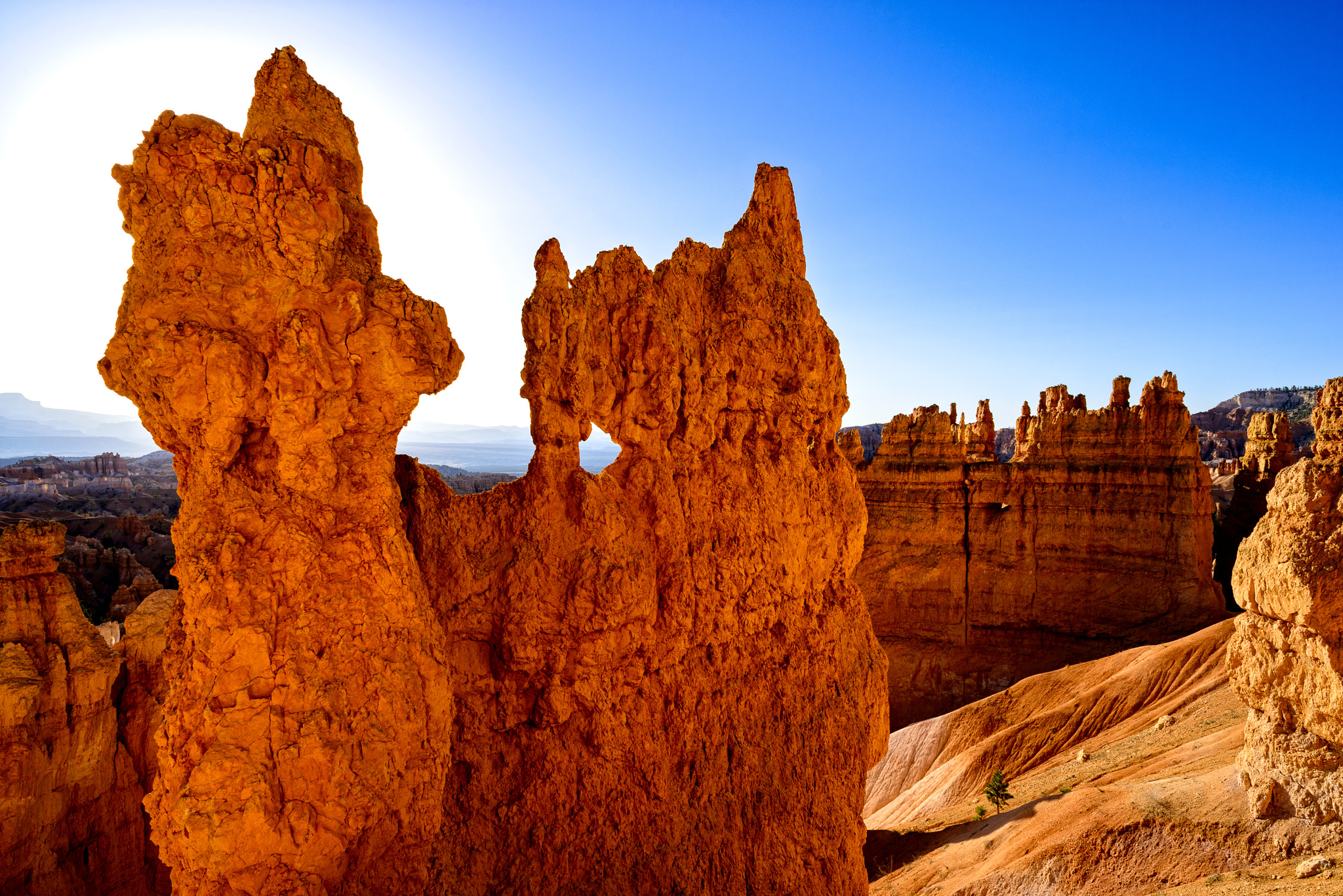 Nikon D800 + Nikon AF Nikkor 20mm F2.8D sample photo. Bryce canyon hoodoo photography