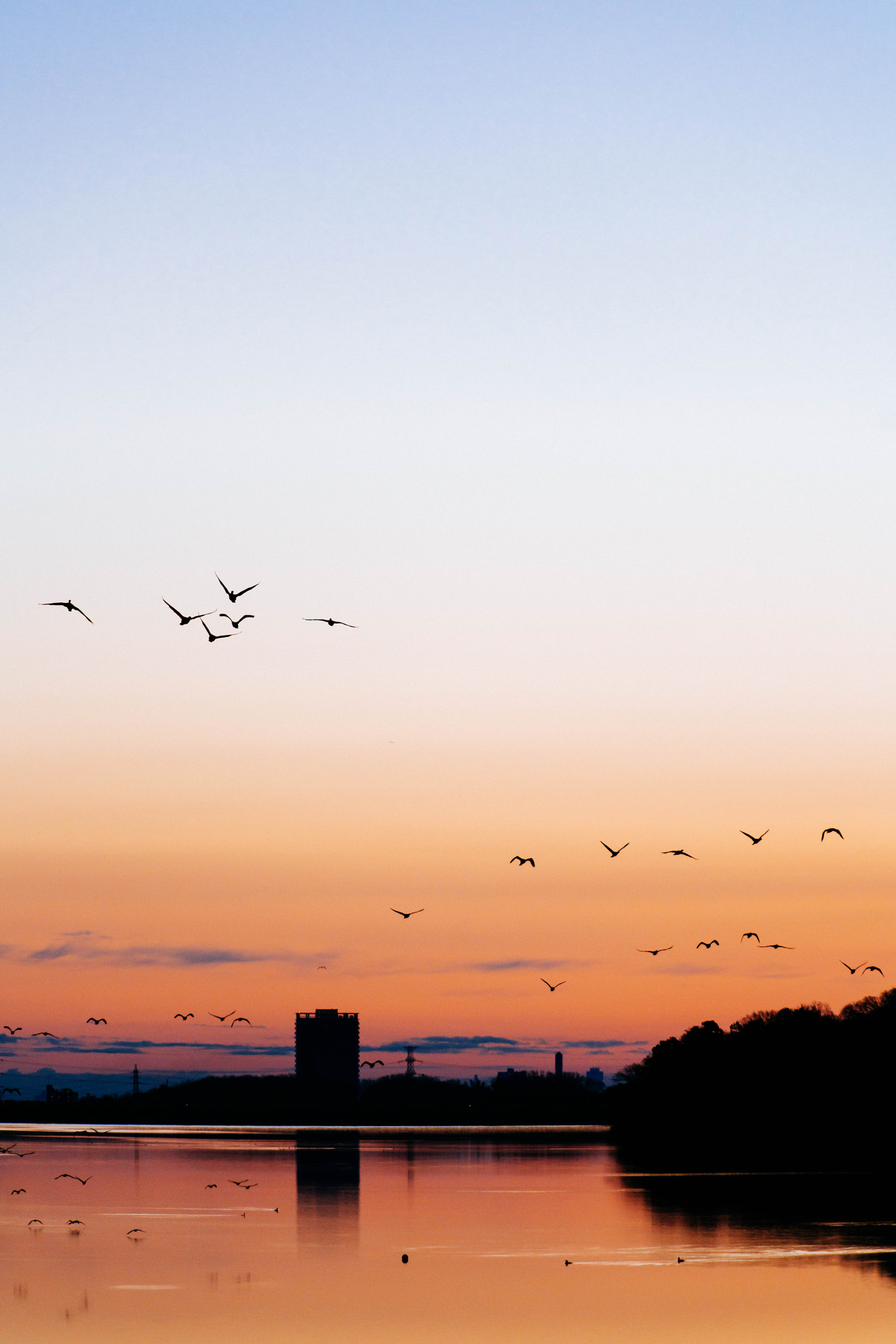 Sony a7R II + 70-200mm F2.8 sample photo. New year photography