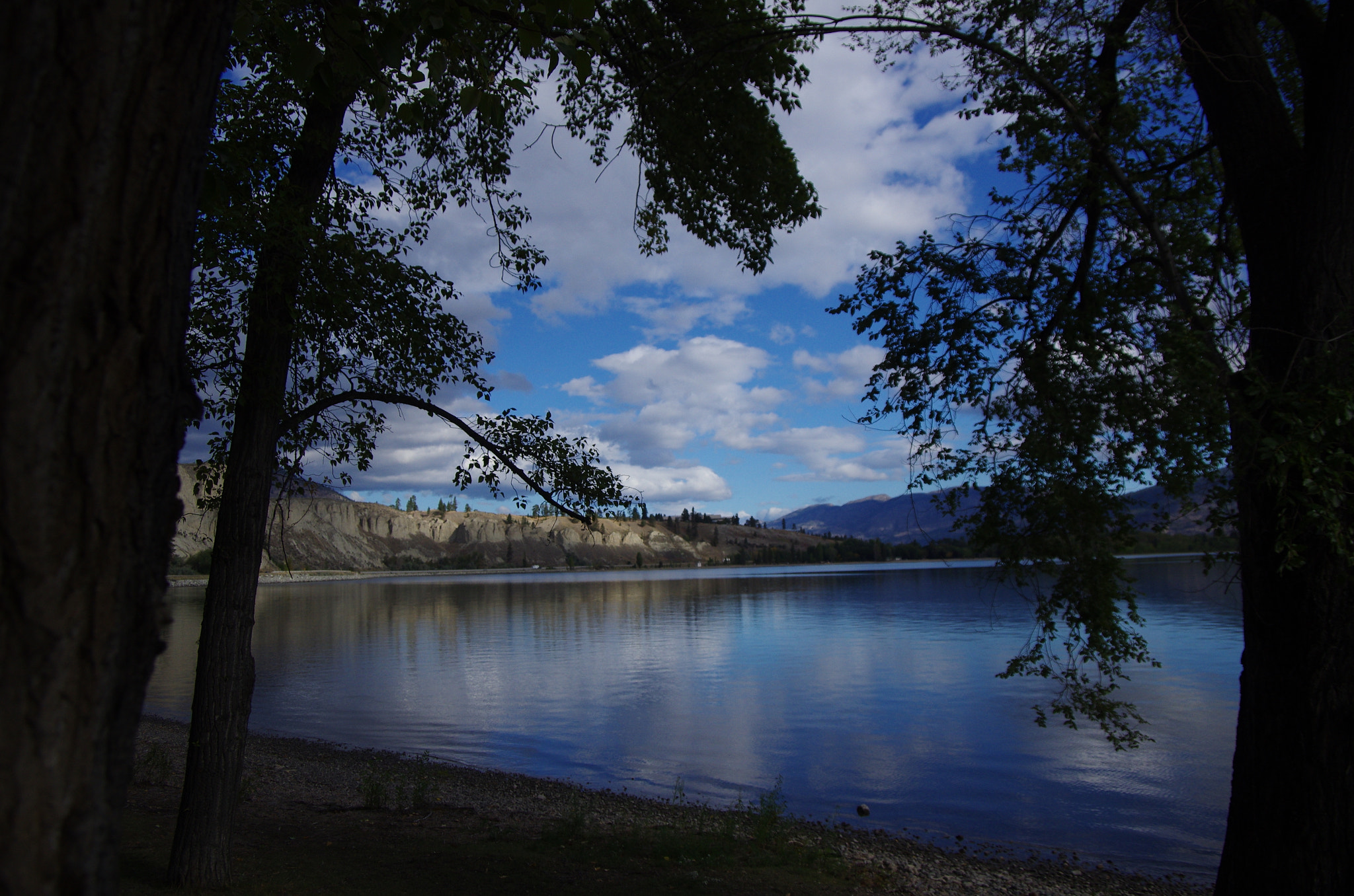 Pentax smc DA 16-45mm F4 ED AL sample photo. Natures cathedral photography