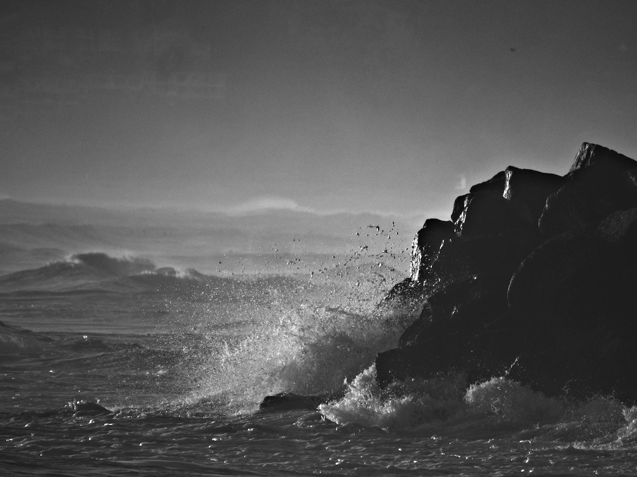 Panasonic Lumix DMC-GH4 + LEICA DG 100-400/F4.0-6.3 sample photo. Burleigh heads 4 photography