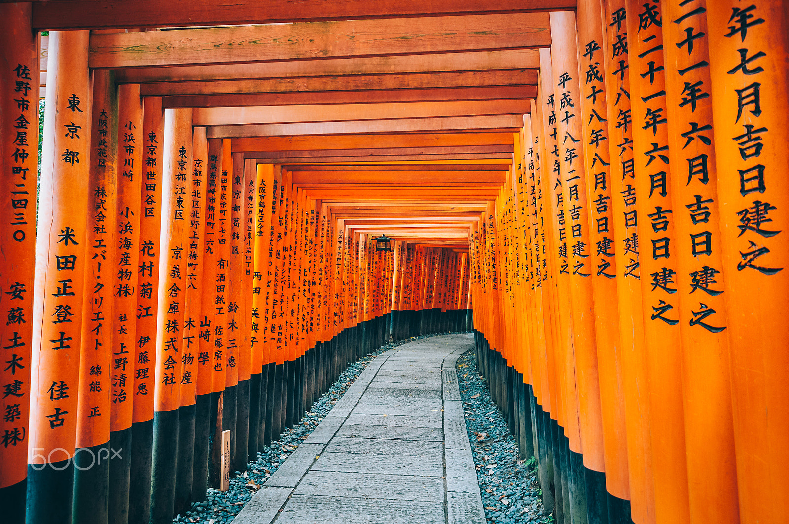 Nikon D300S sample photo. Fushimi inari photography