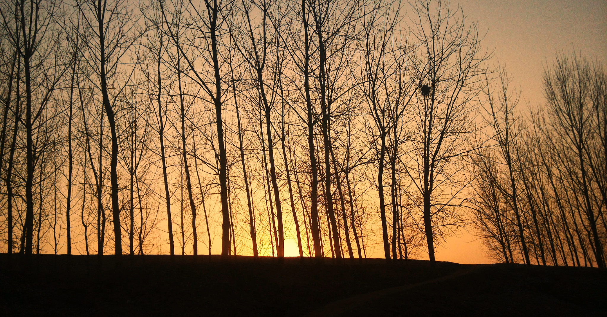 Xiaomi MI3 sample photo