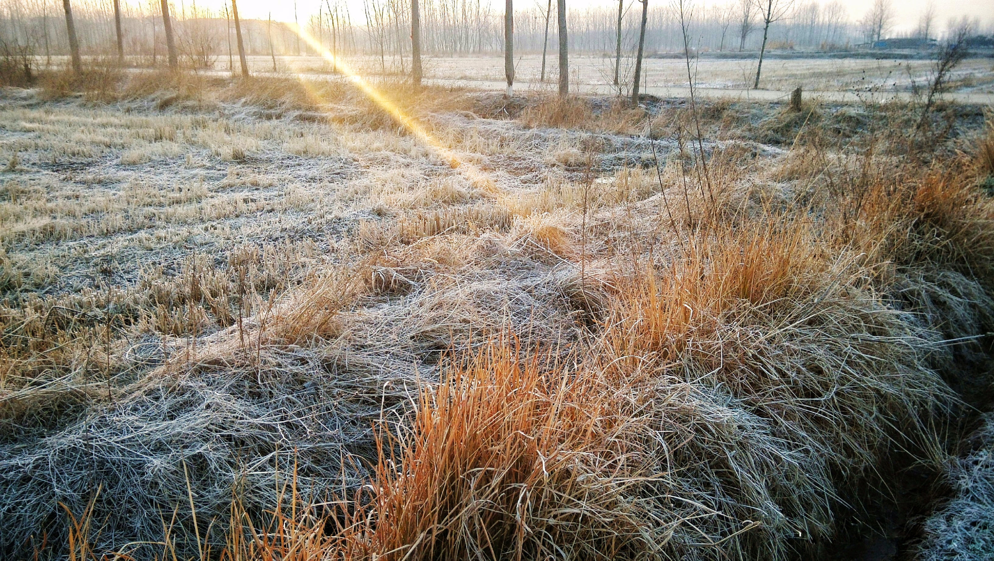 Xiaomi MI3 sample photo