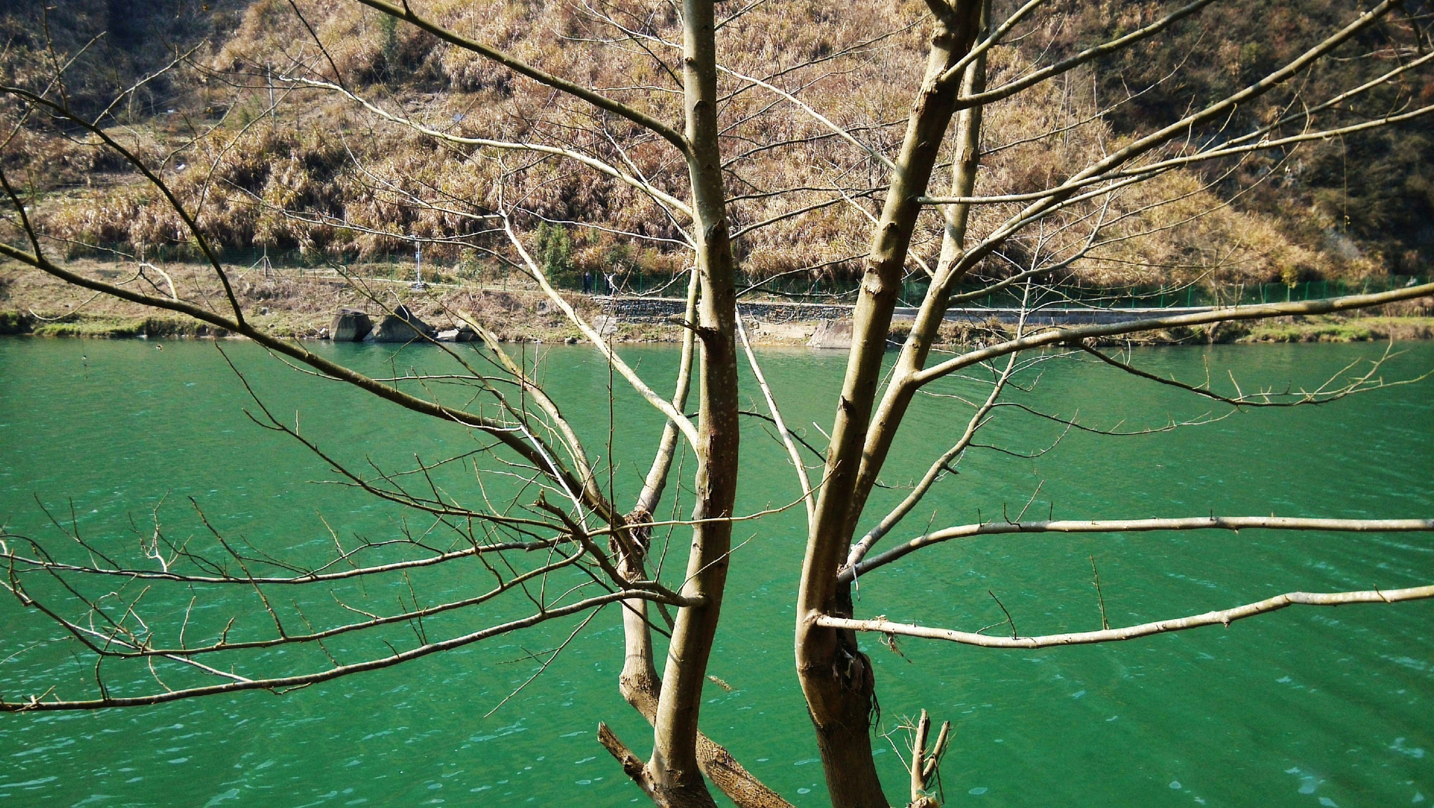 Xiaomi MI3 sample photo