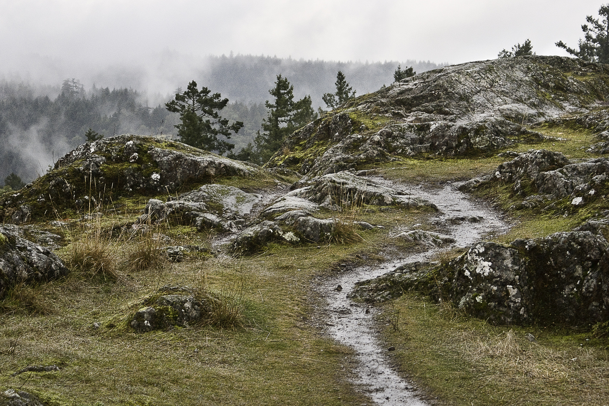 Sony Alpha DSLR-A700 sample photo. Highlands photography