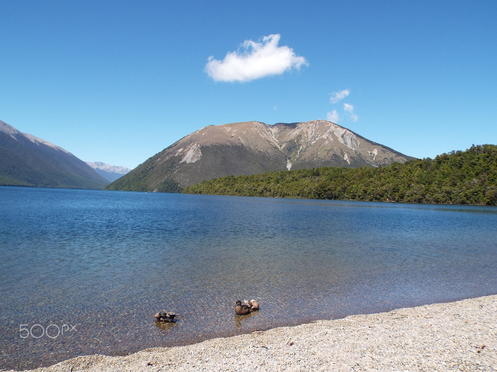 Fujifilm FinePix S8400W sample photo. Lake rotoiti, tasman, new zealand photography