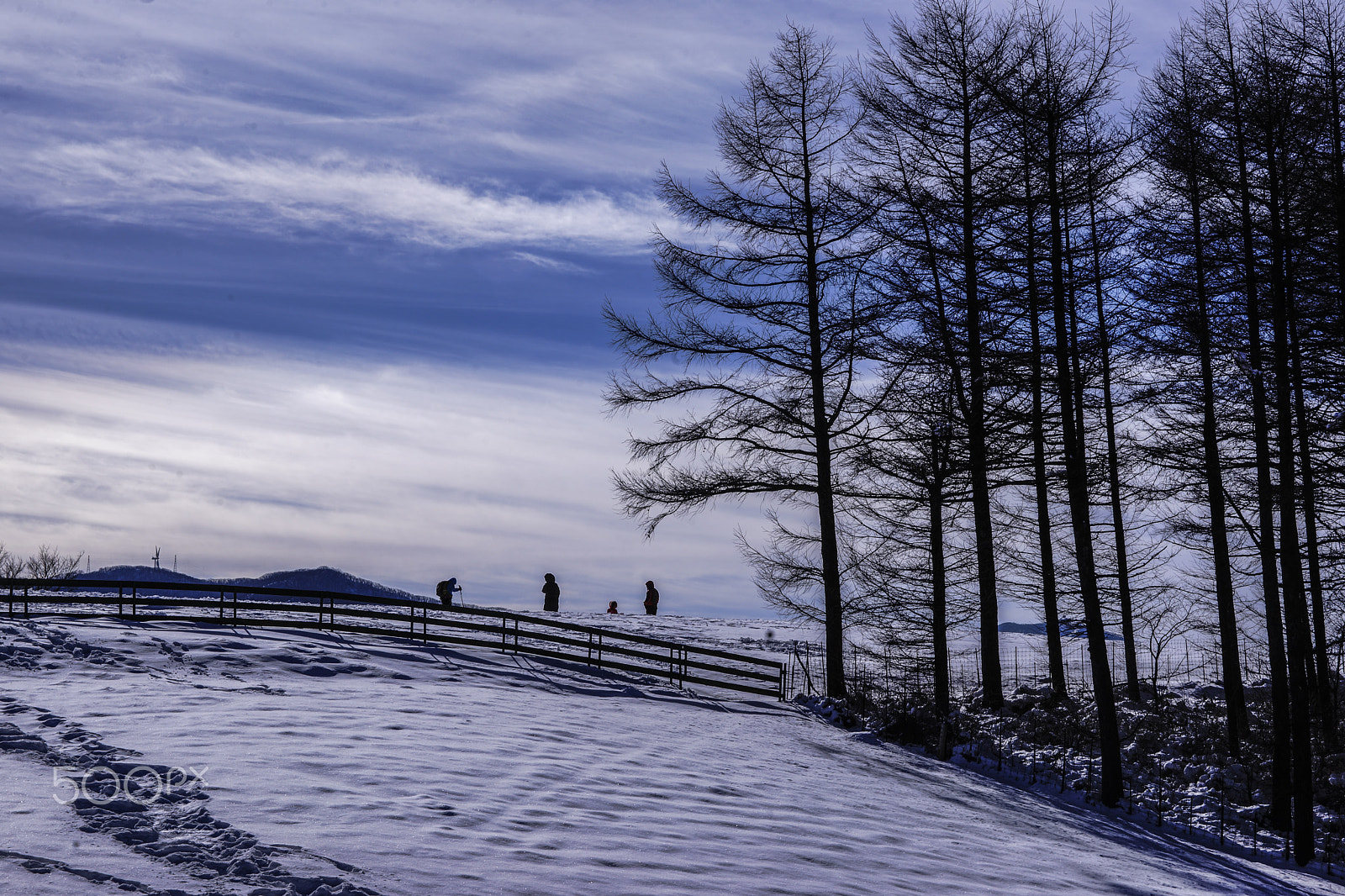 Sony SLT-A99V sample photo. Winter story photography