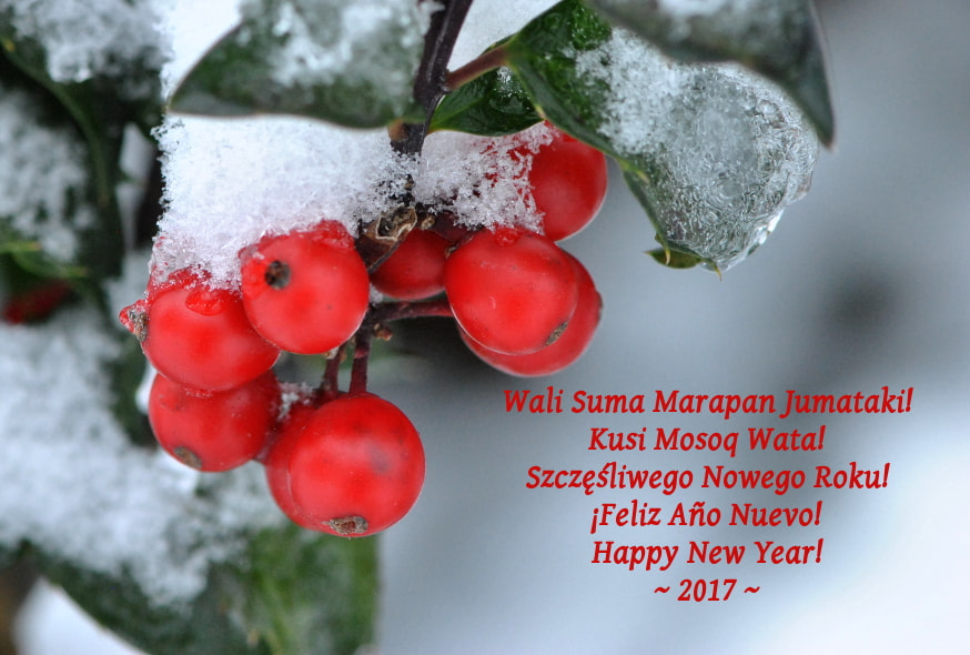 Nikon AF-S Micro-Nikkor 105mm F2.8G IF-ED VR sample photo. Happy new year 2017! photography