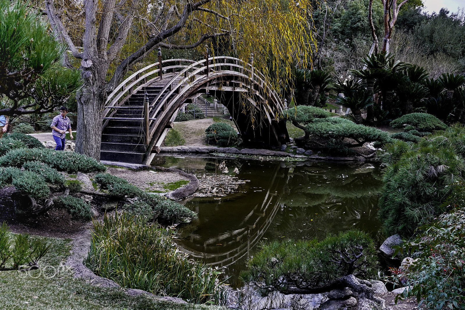 Sony E 16-50mm F3.5-5.6 PZ OSS sample photo. Japanese garden photography