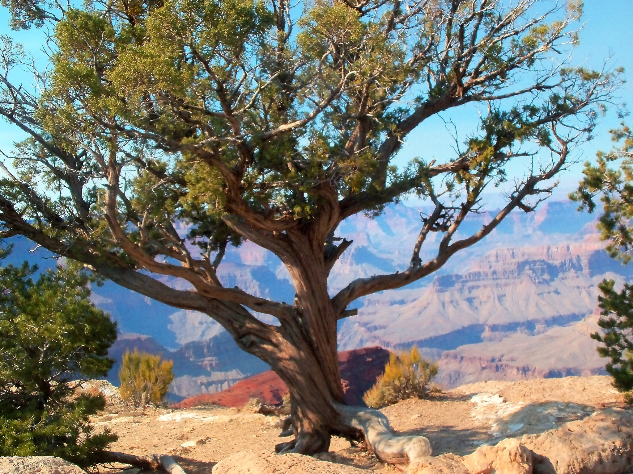 Kodak EASYSHARE C190 DIGITAL CAMERA sample photo. Grand canyon photography